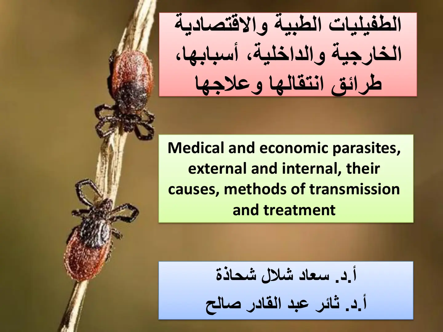 غلاف تقرير الطفيليات الطبية والاقتصادية الخارجية والداخلية، أسبابها، طرائق انتقالها وعلاجها