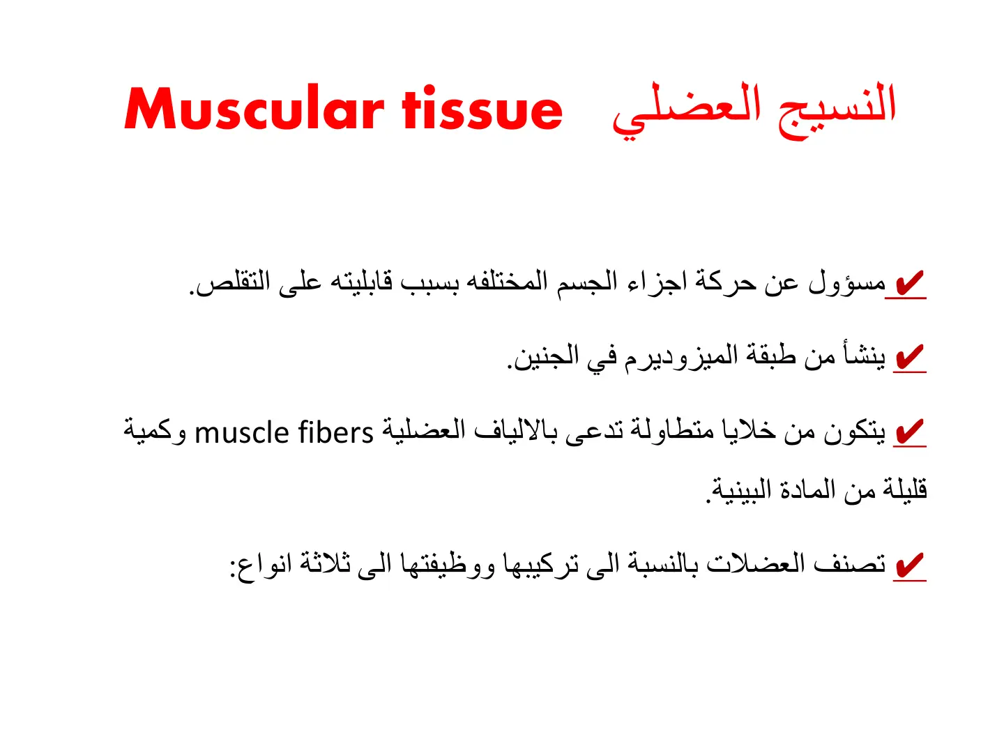 غلاف تقرير النسيج العضلي Muscular Tissue