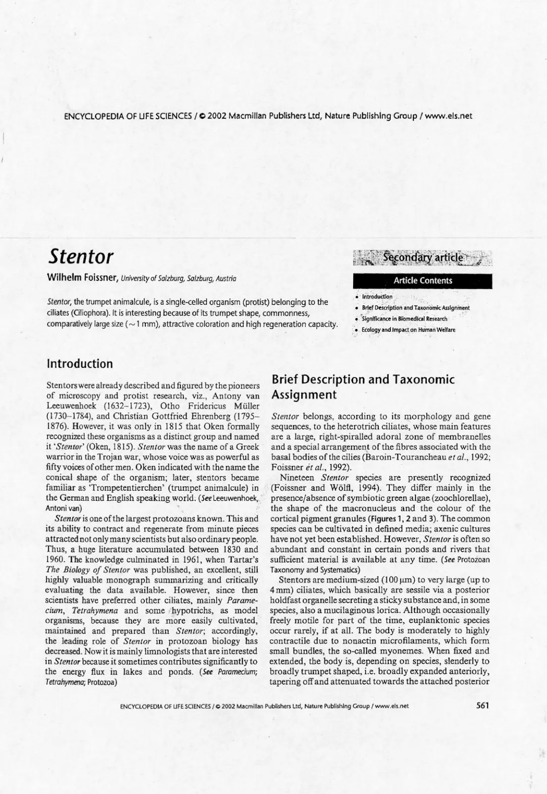 غلاف تقرير Stentor