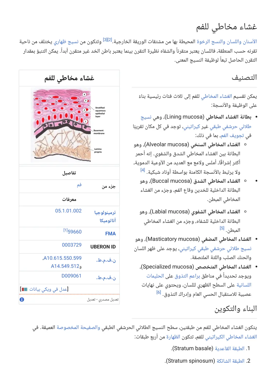 غلاف تقرير الغشاء المخاطي للفم: التركيب والتصنيف