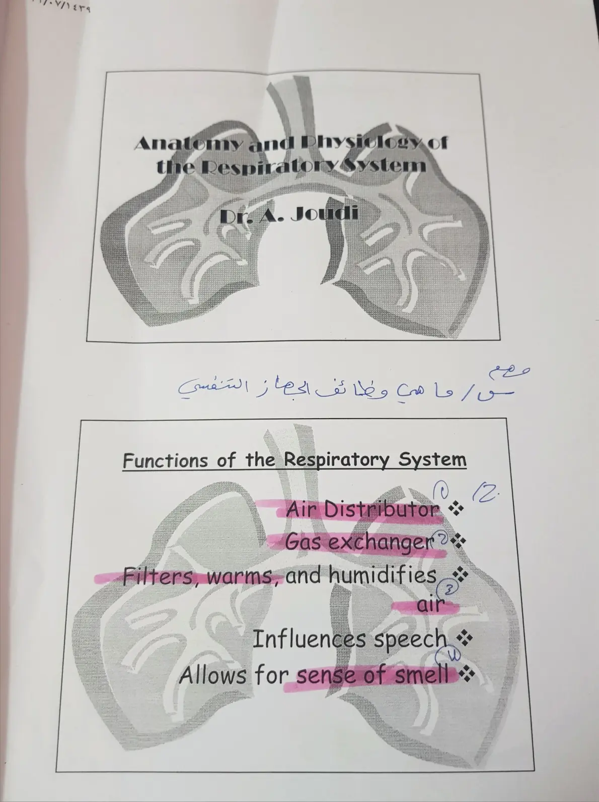 غلاف تقرير Anatomy and Physiology of the Respiratory System