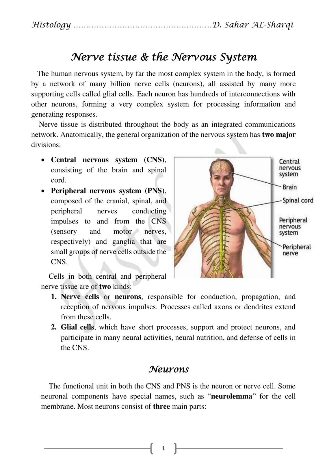 غلاف تقرير Nerve tissue & the Nervous System