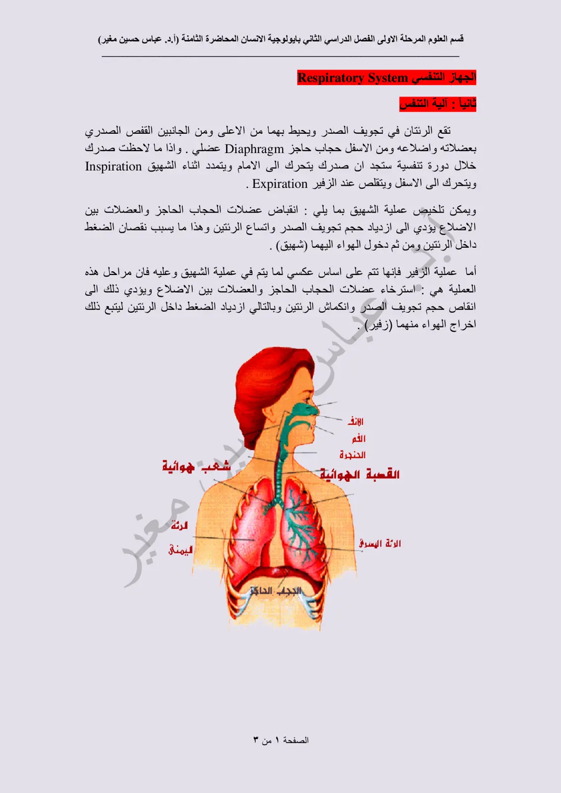 غلاف تقرير بايولوجية الانسان المحاضرة الثامنة: الجهاز التنفسي