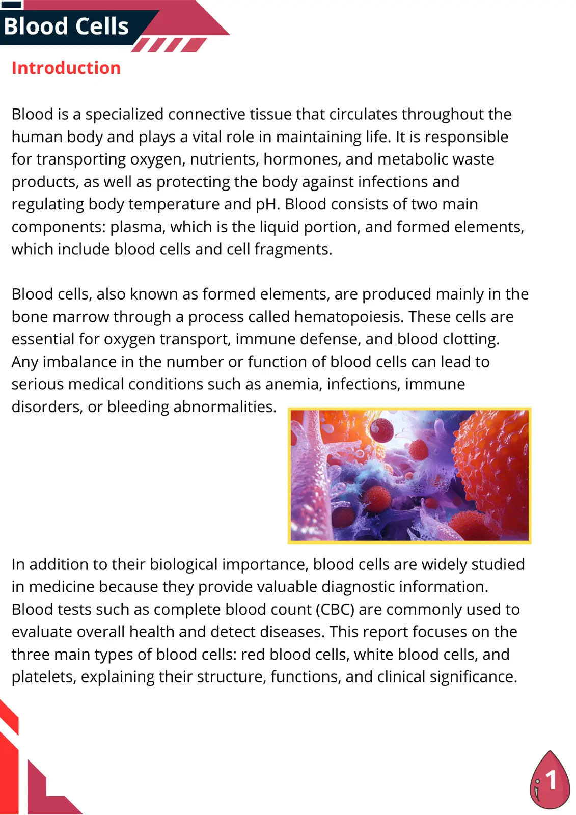 غلاف تقرير Blood Cells