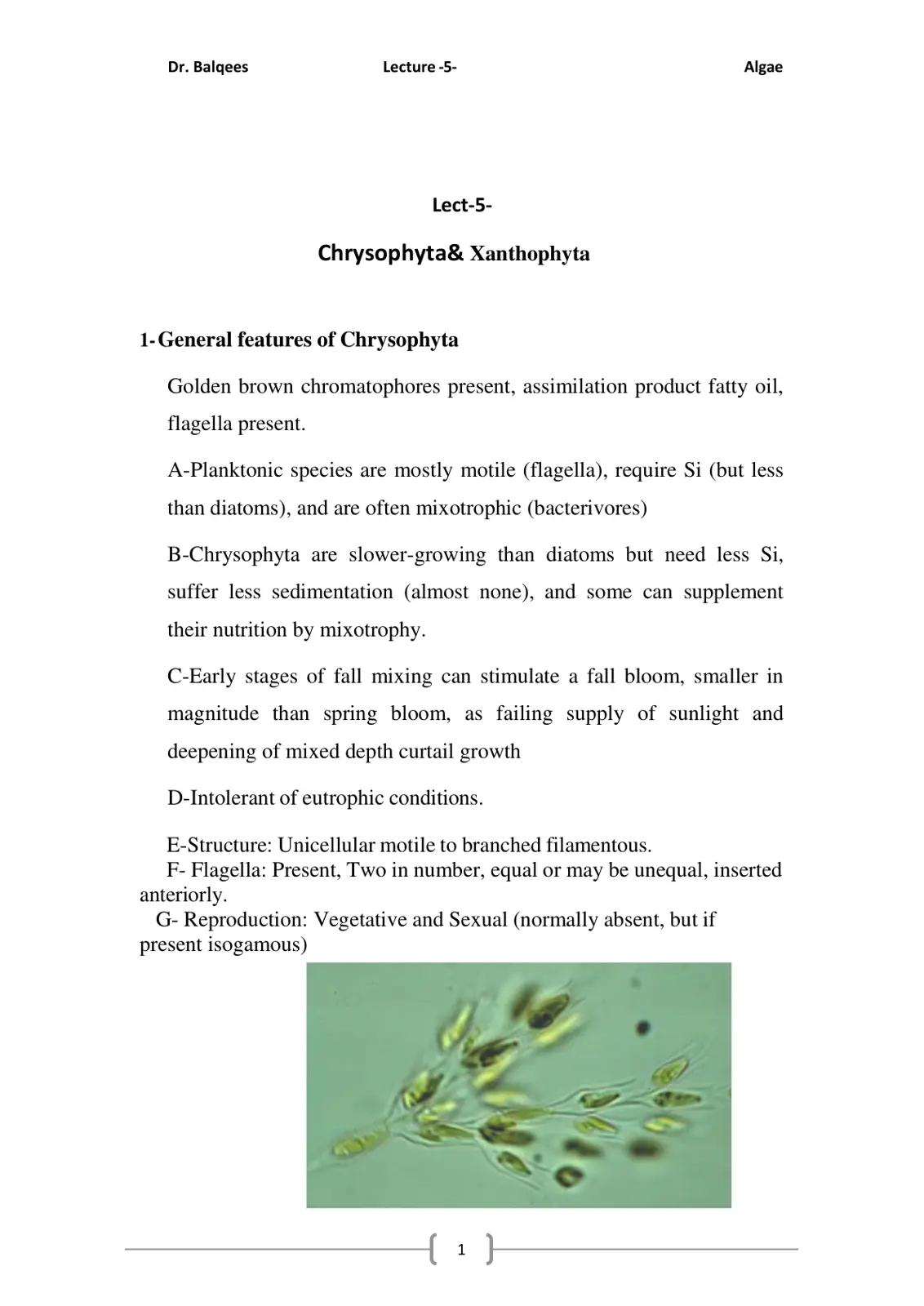 غلاف تقرير Lecture -5- Algae: Chrysophyta& Xanthophyta