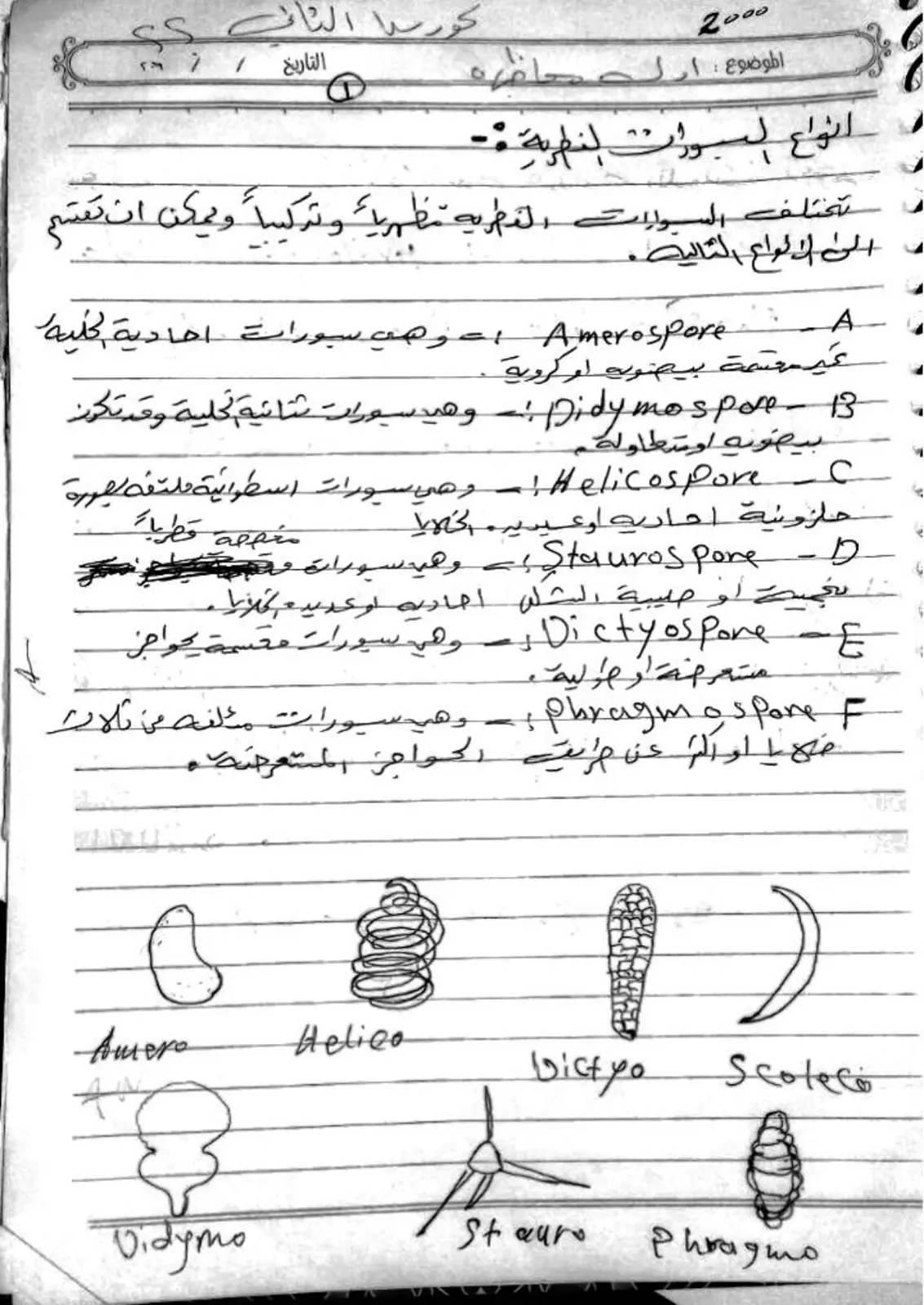 غلاف تقرير انواع السبورات النظرية