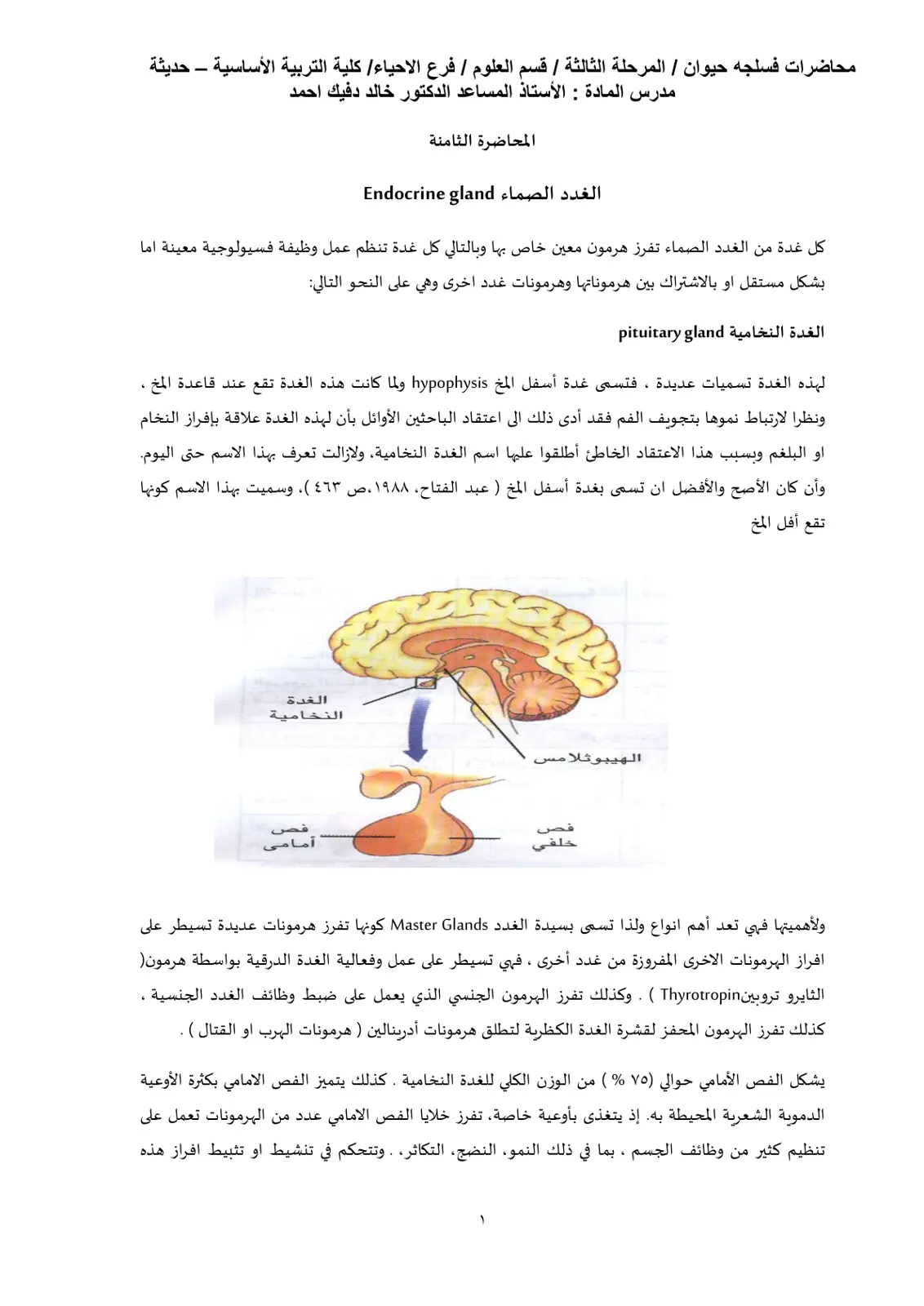 غلاف تقرير محاضرات فسلجة حيوان - الغدد الصماء