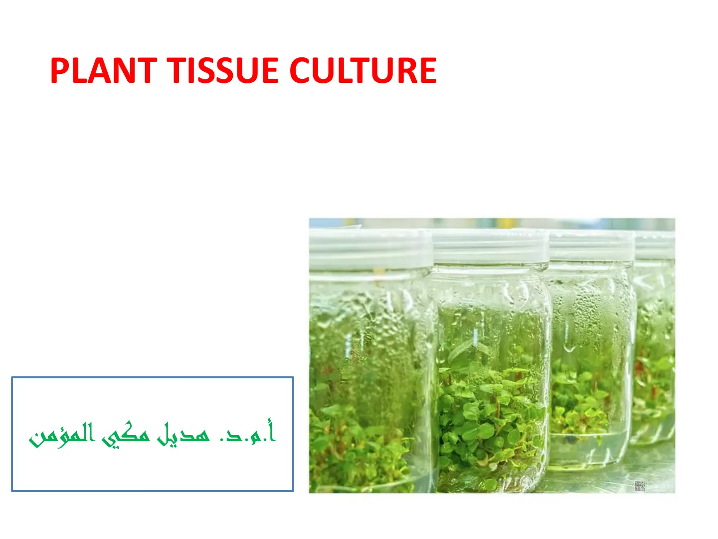 غلاف تقرير PLANT TISSUE CULTURE
