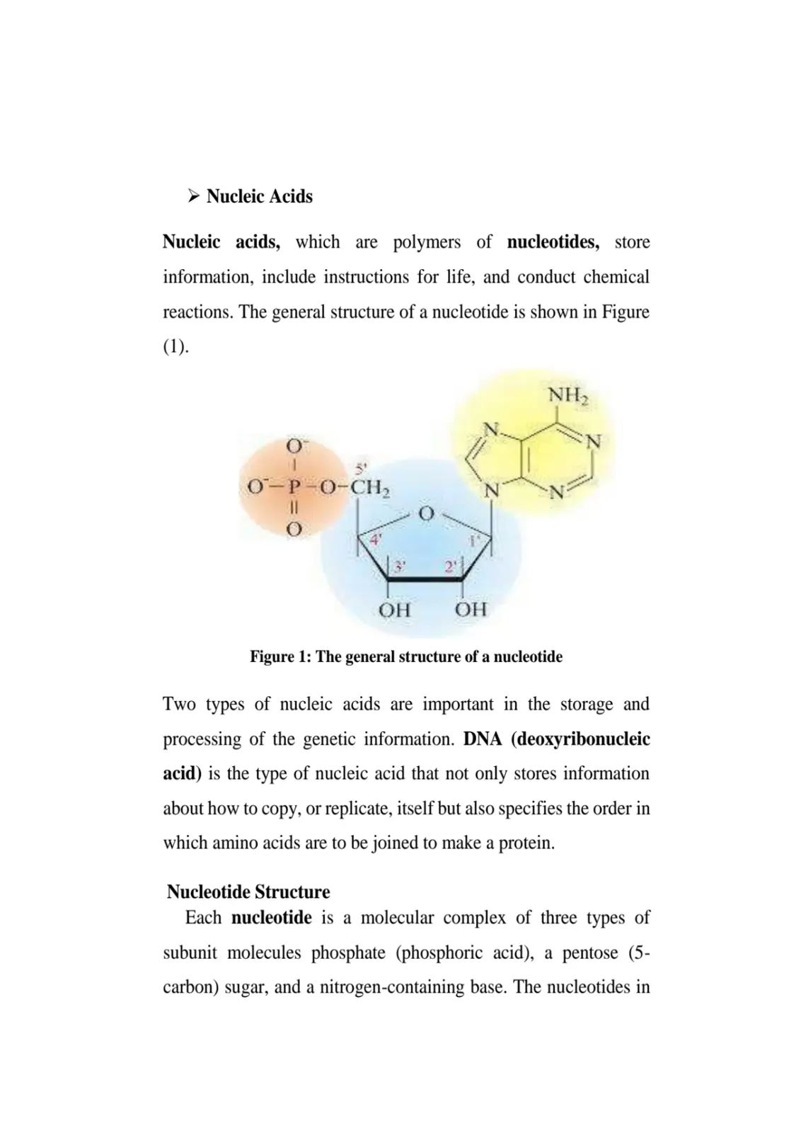 غلاف تقرير Nucleic Acids