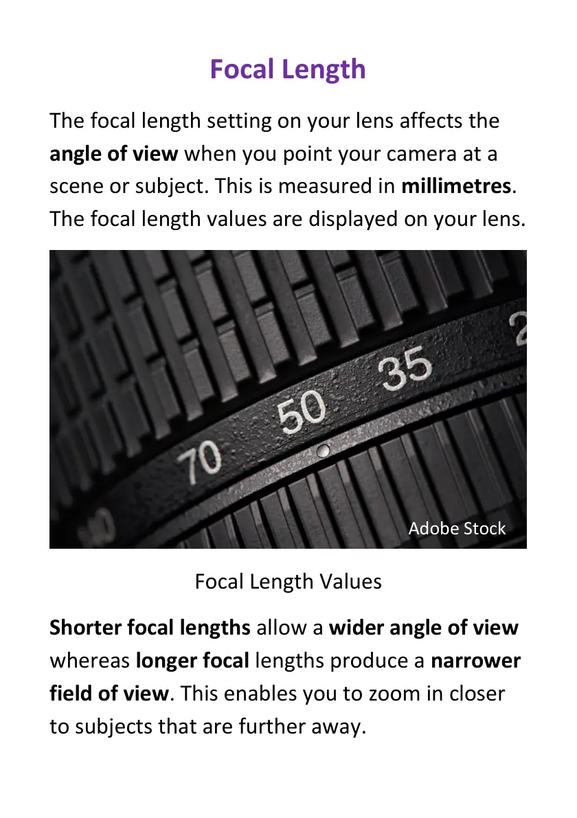غلاف تقرير Focal Length
