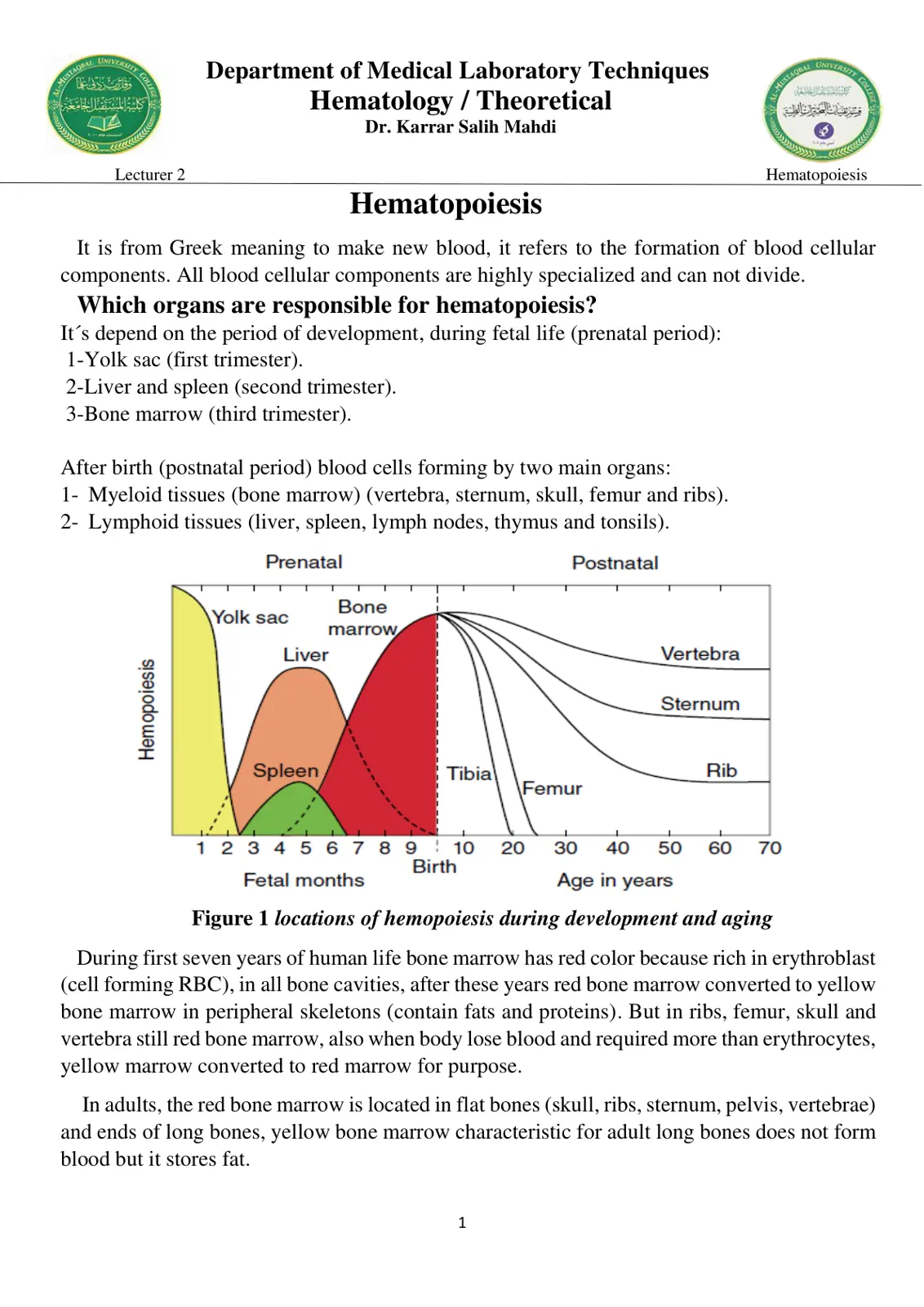 غلاف تقرير Hematopoiesis