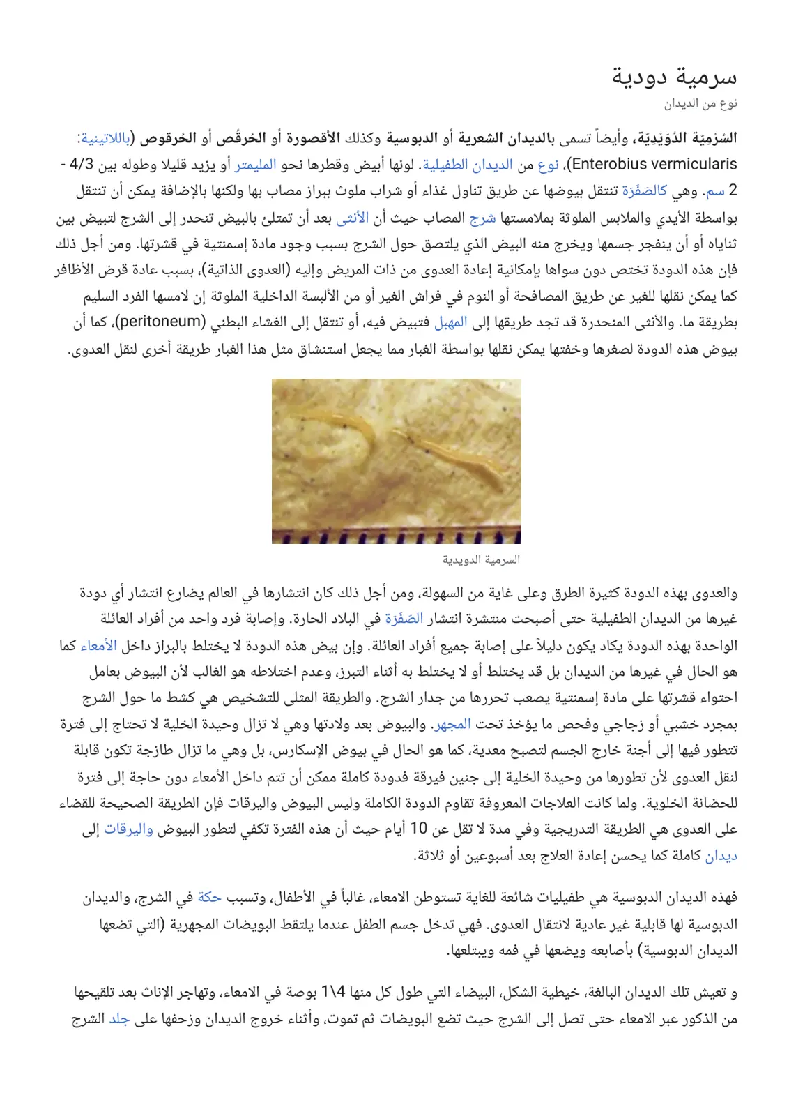 غلاف تقرير السرمية الدودية