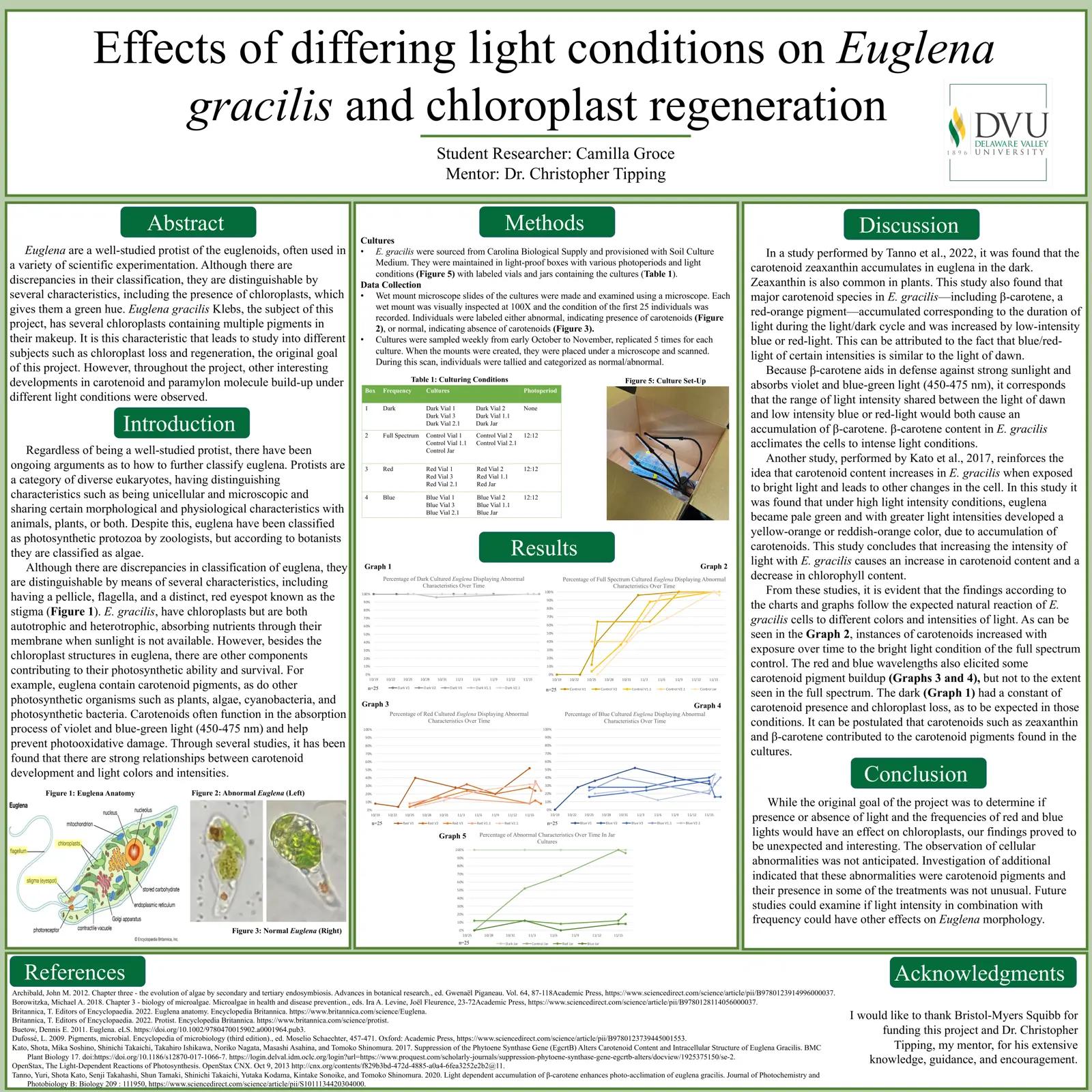 غلاف تقرير Effects of differing light conditions on Euglena gracilis and chloroplast regeneration