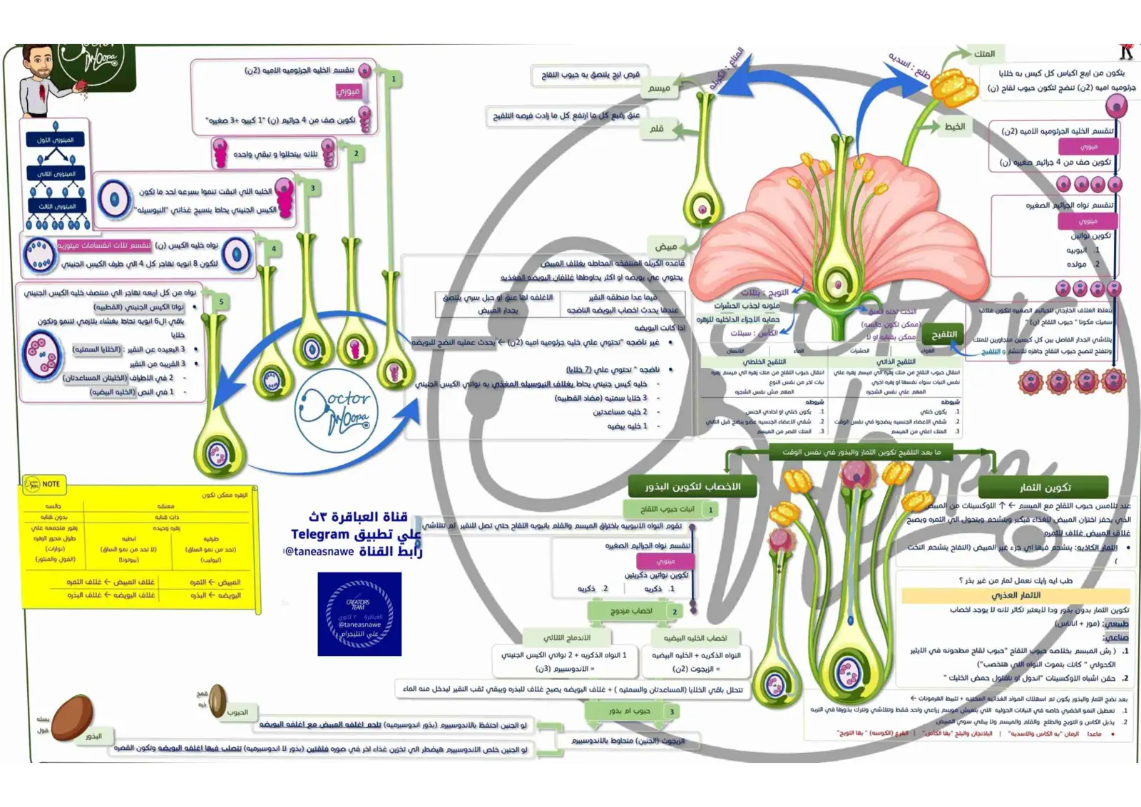 غلاف تقرير شرح أجزاء الزهرة وعملية التكاثر