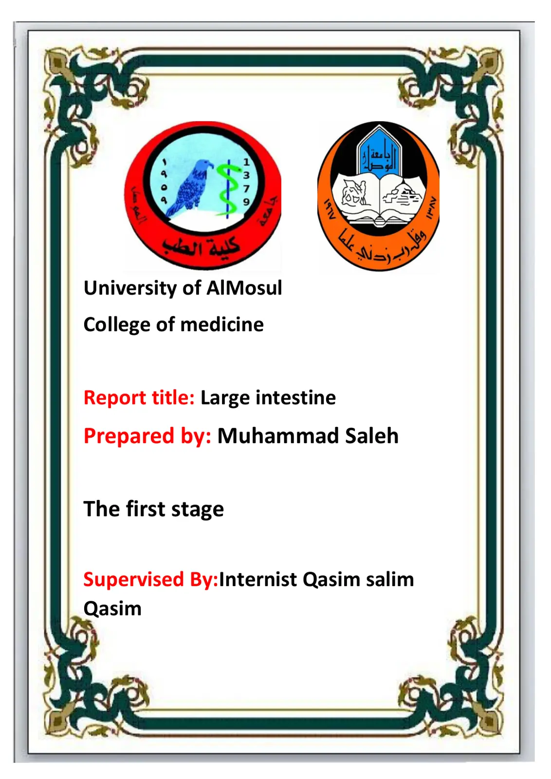 غلاف تقرير Large Intestine – Report