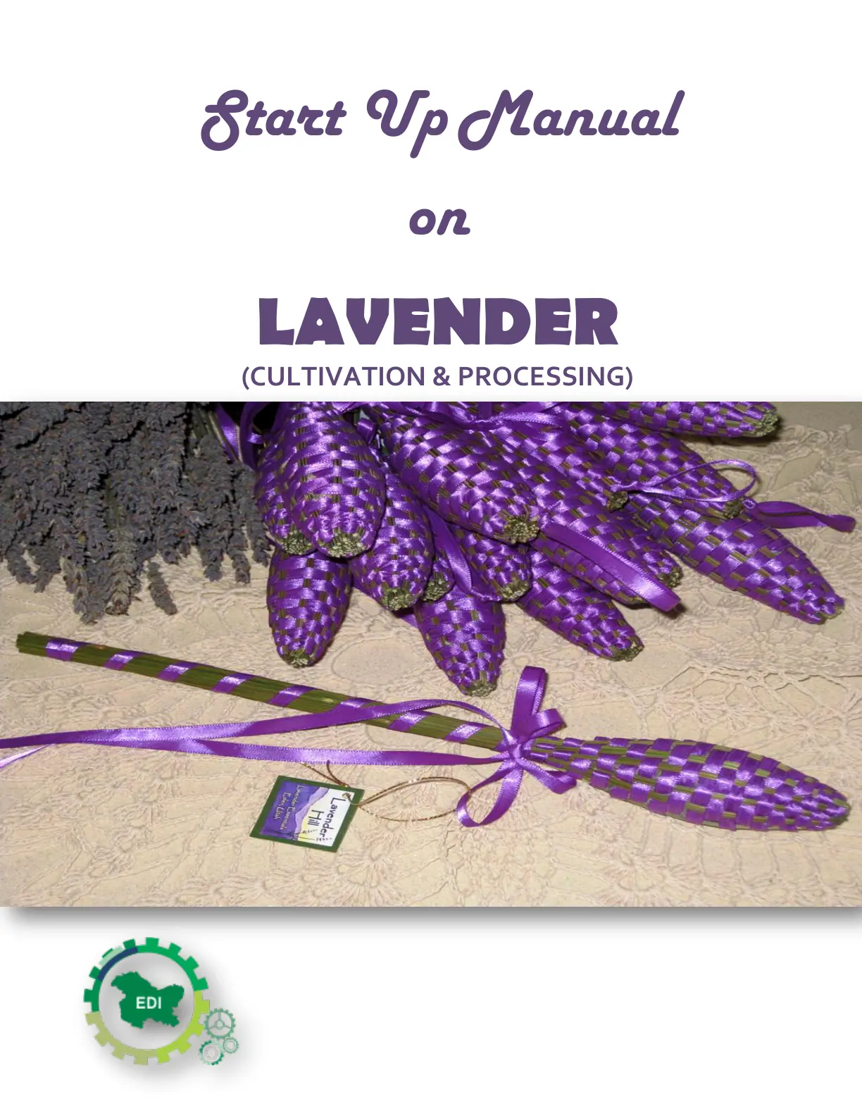 غلاف تقرير Start Up Manual on LAVENDER (CULTIVATION & PROCESSING)