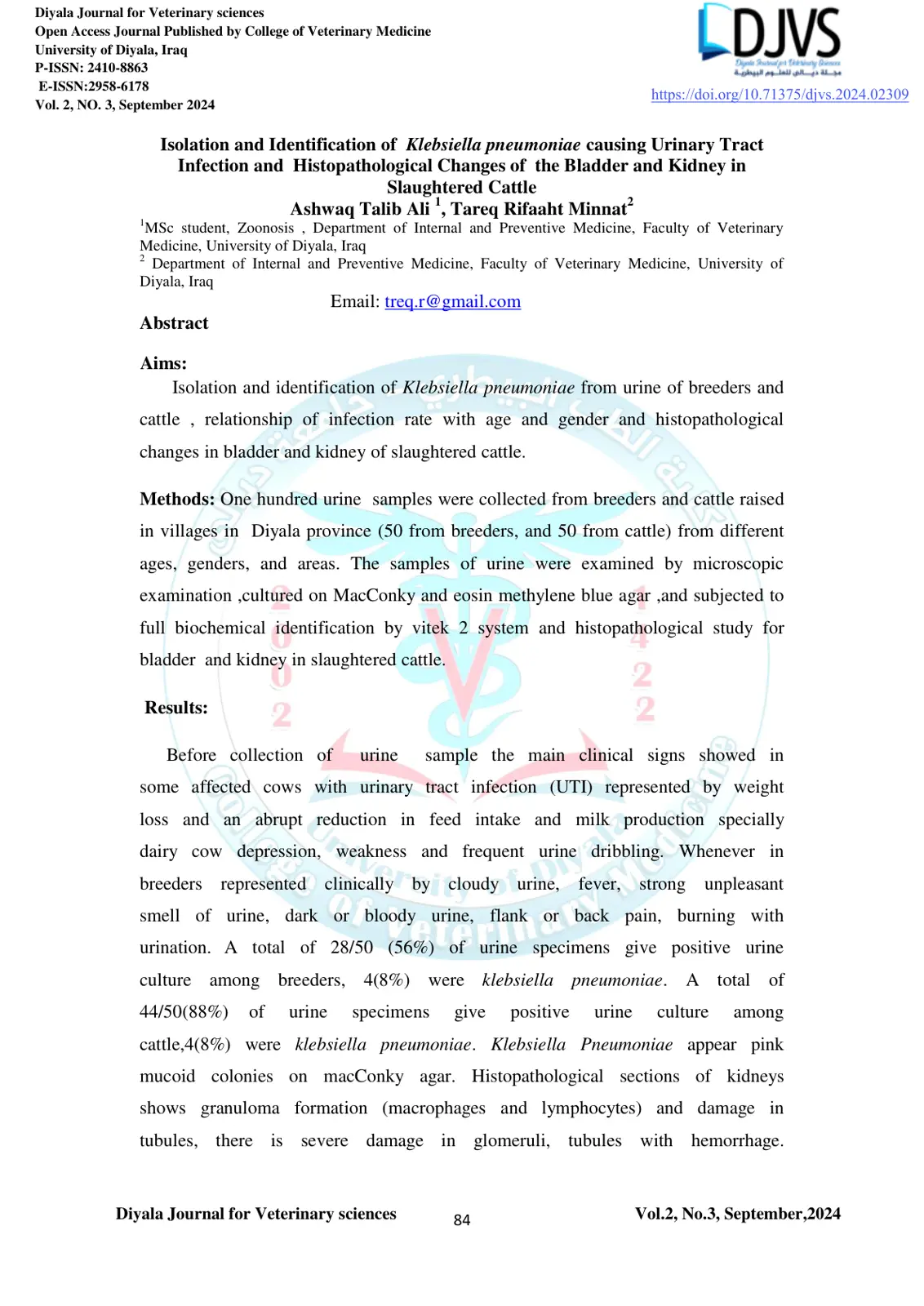 غلاف تقرير Isolation and Identification of Klebsiella pneumoniae causing Urinary Tract Infection and Histopathological Changes of the Bladder and Kidney in Slaughtered Cattle
