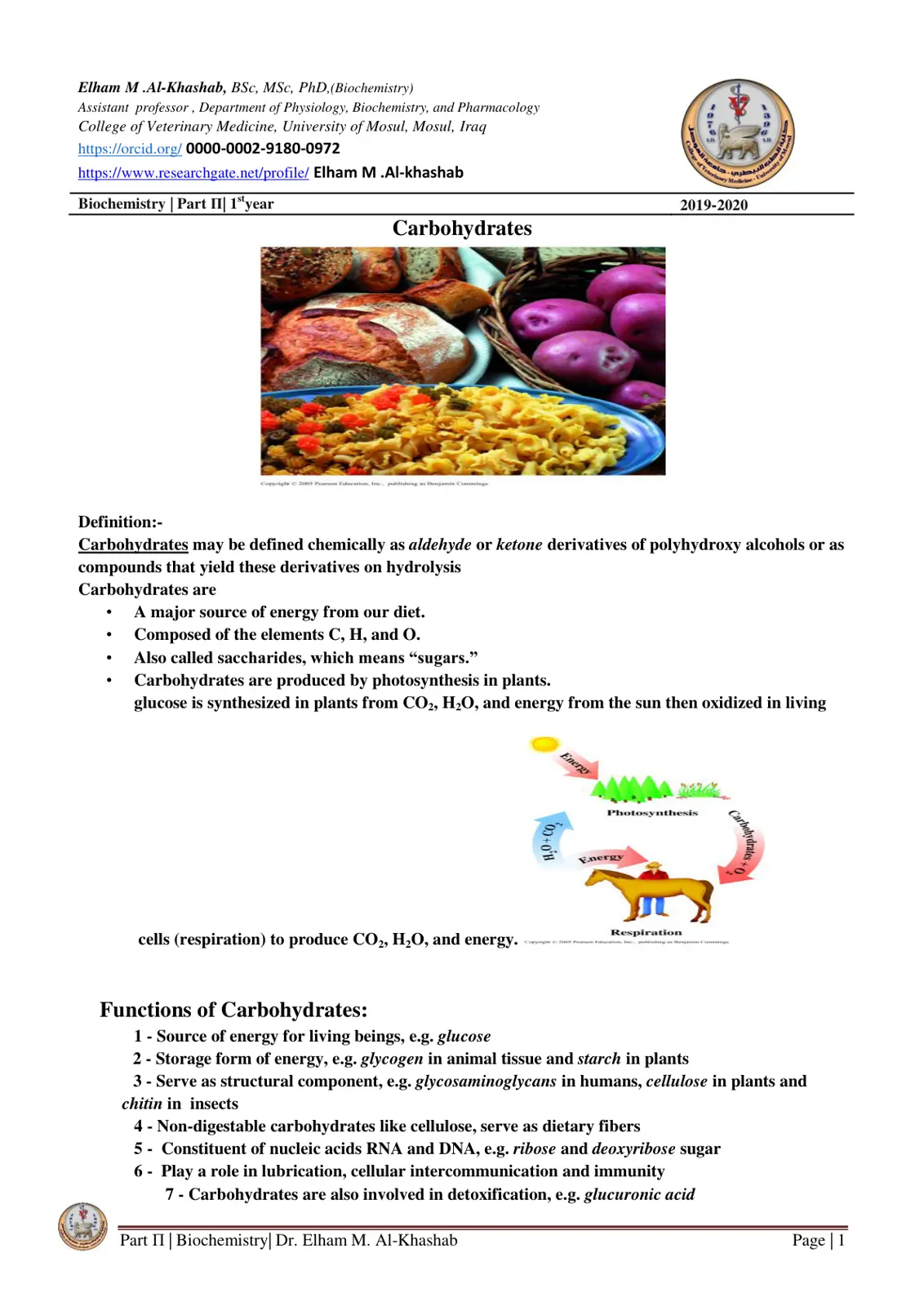غلاف تقرير Carbohydrates