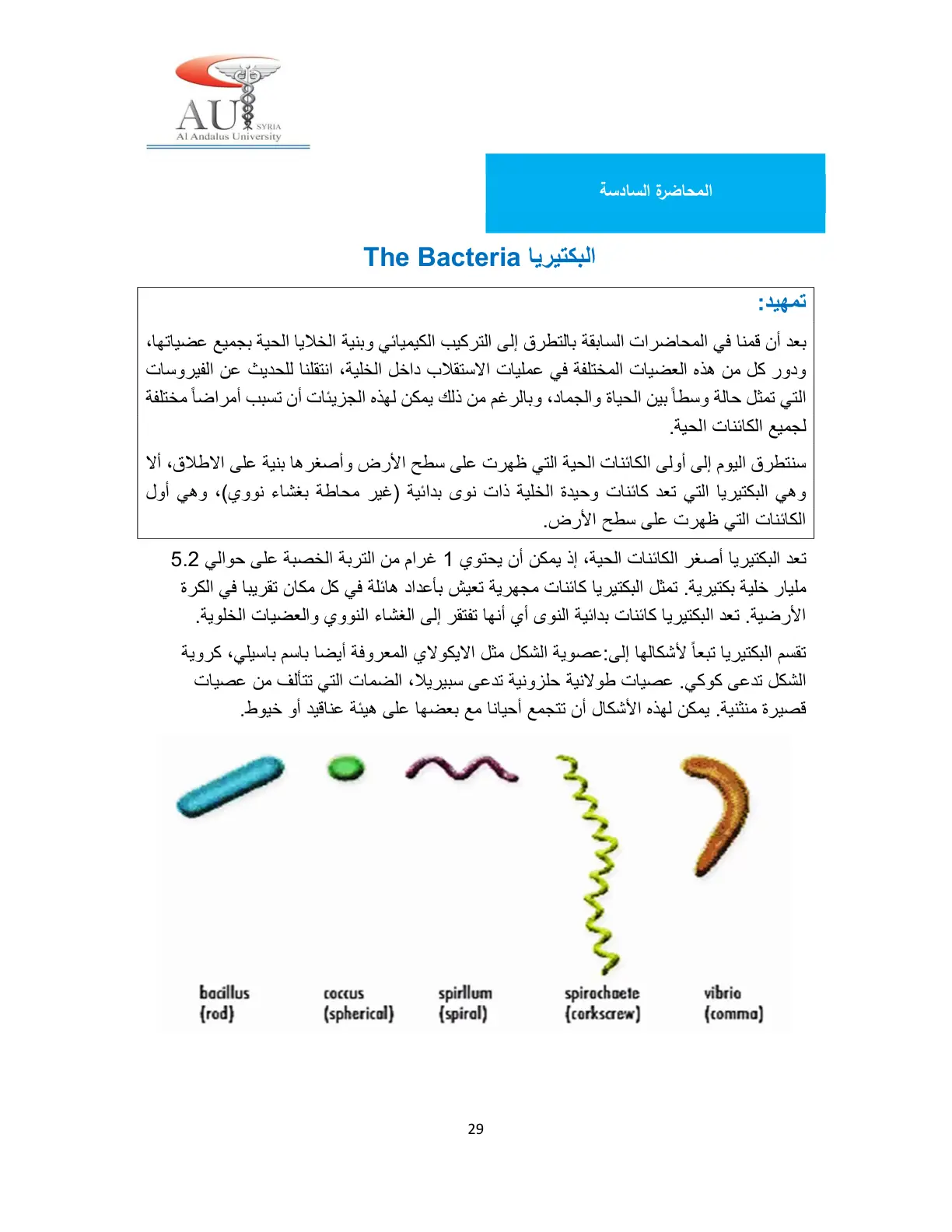 غلاف تقرير المحاضرة السادسة - البكتيريا The Bacteria