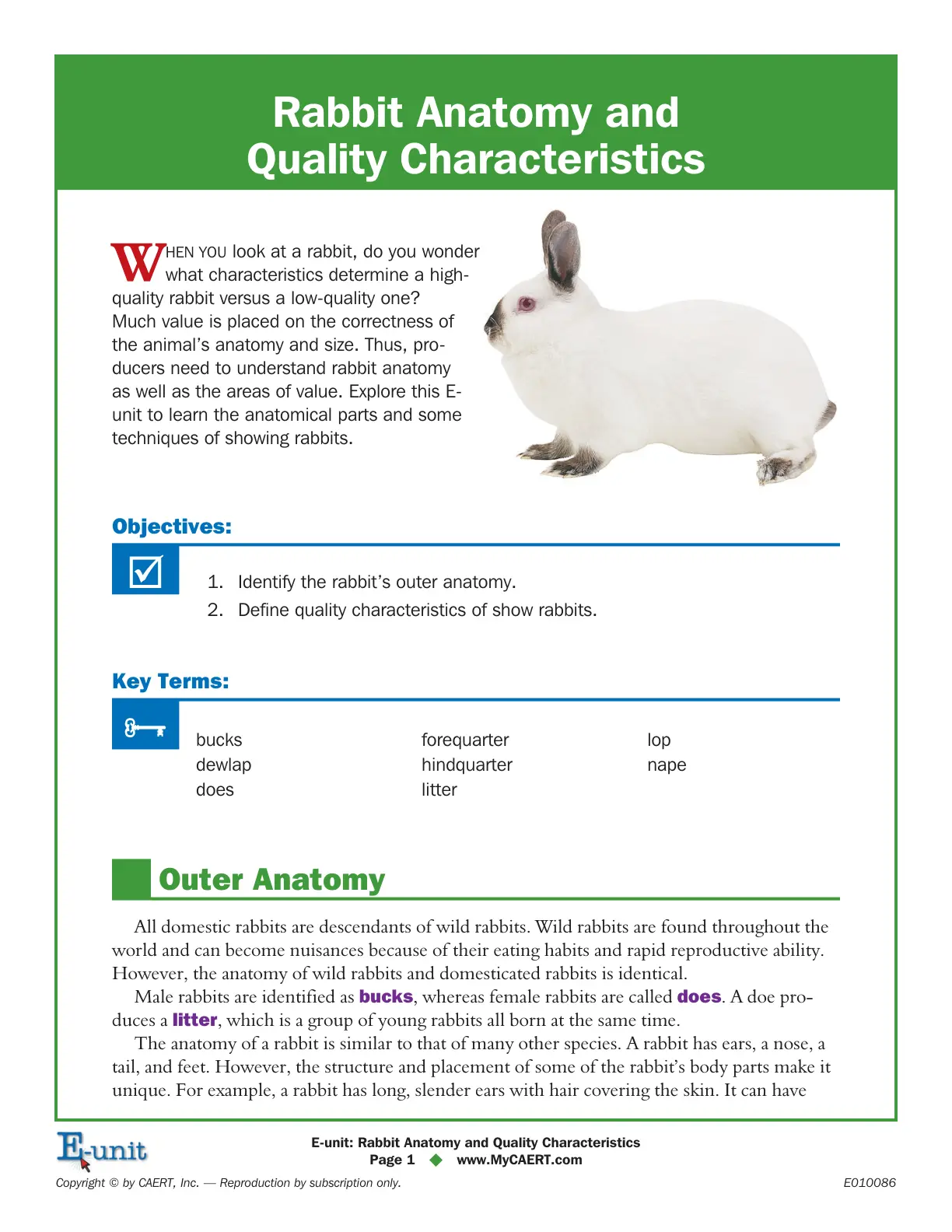 غلاف تقرير Rabbit Anatomy and Quality Characteristics