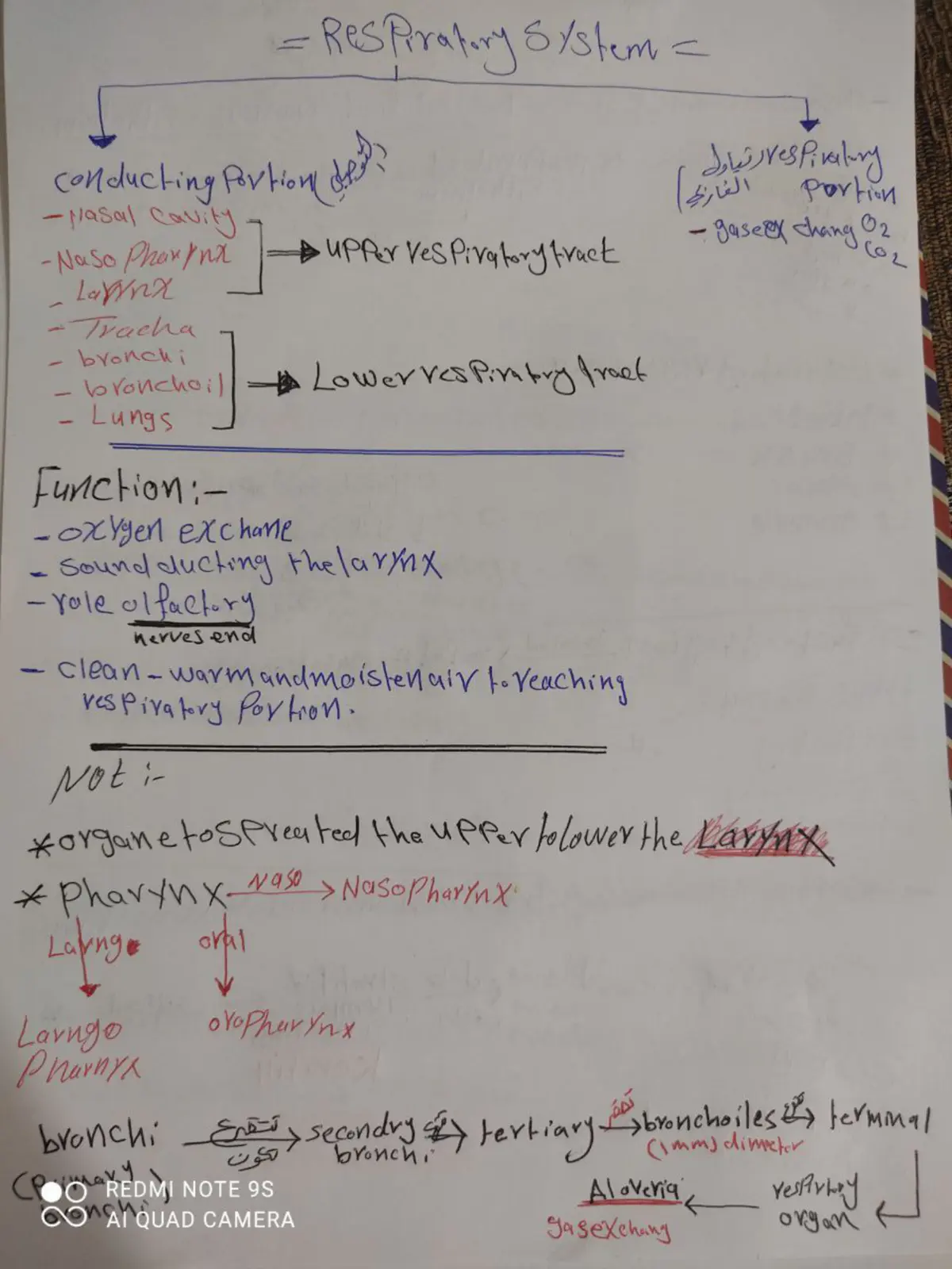غلاف تقرير Respiratory System
