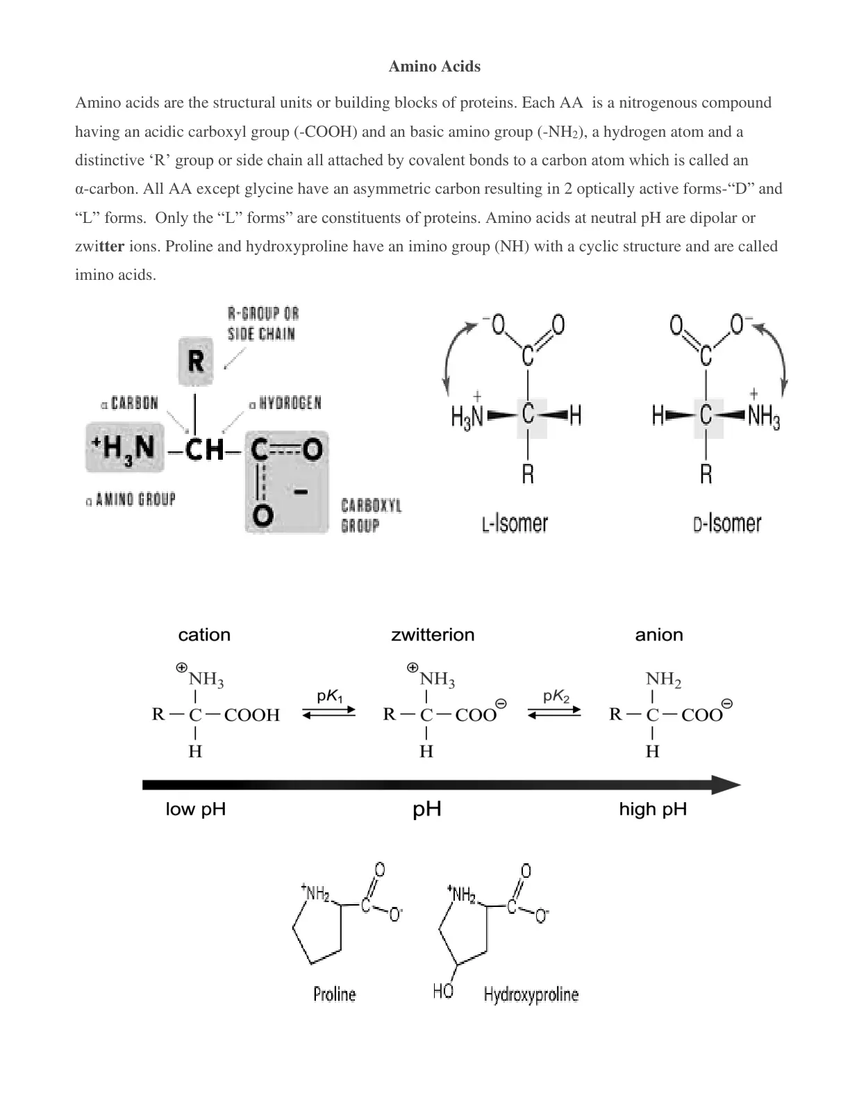 غلاف تقرير Amino Acids