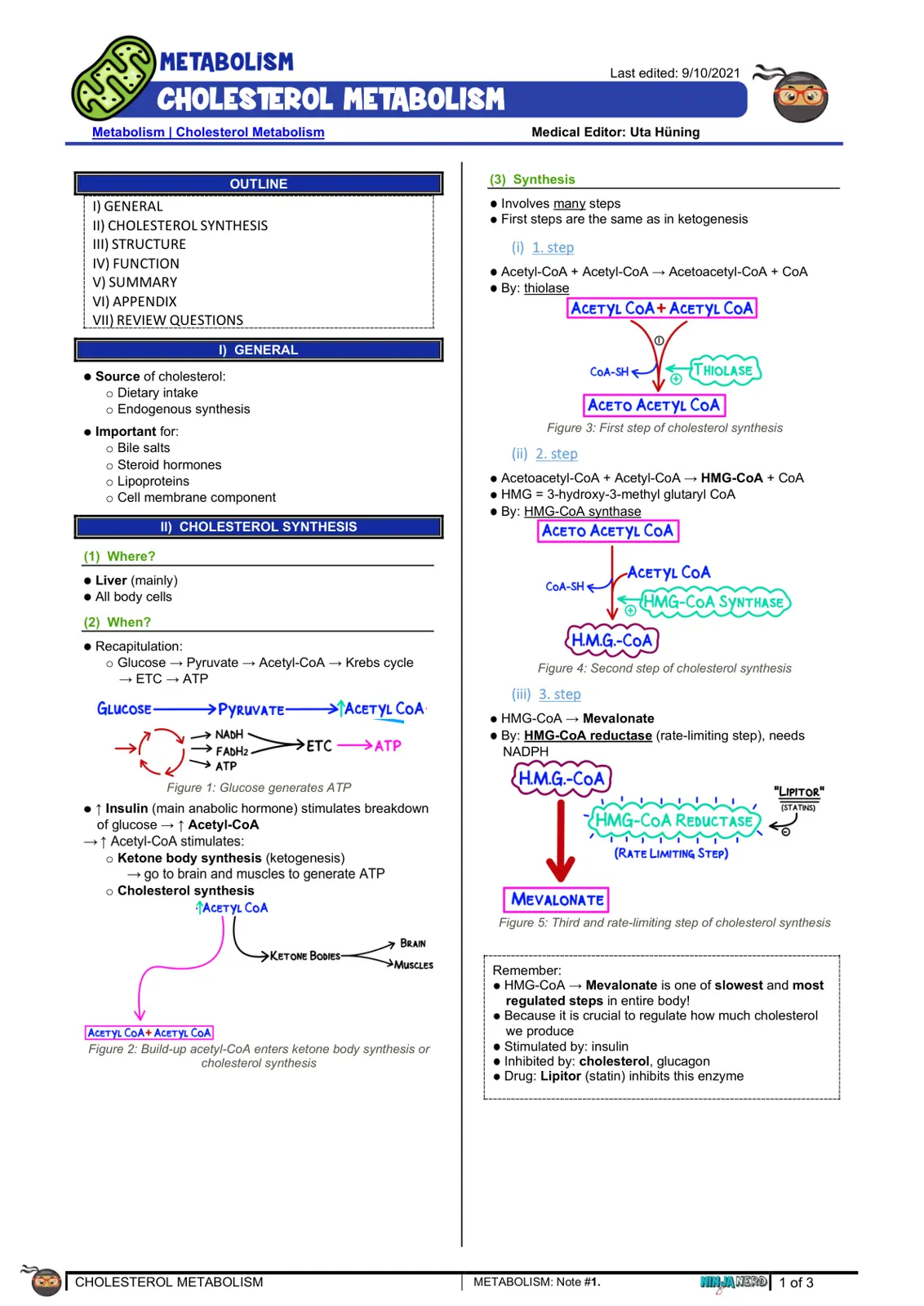 غلاف تقرير Cholesterol Metabolism