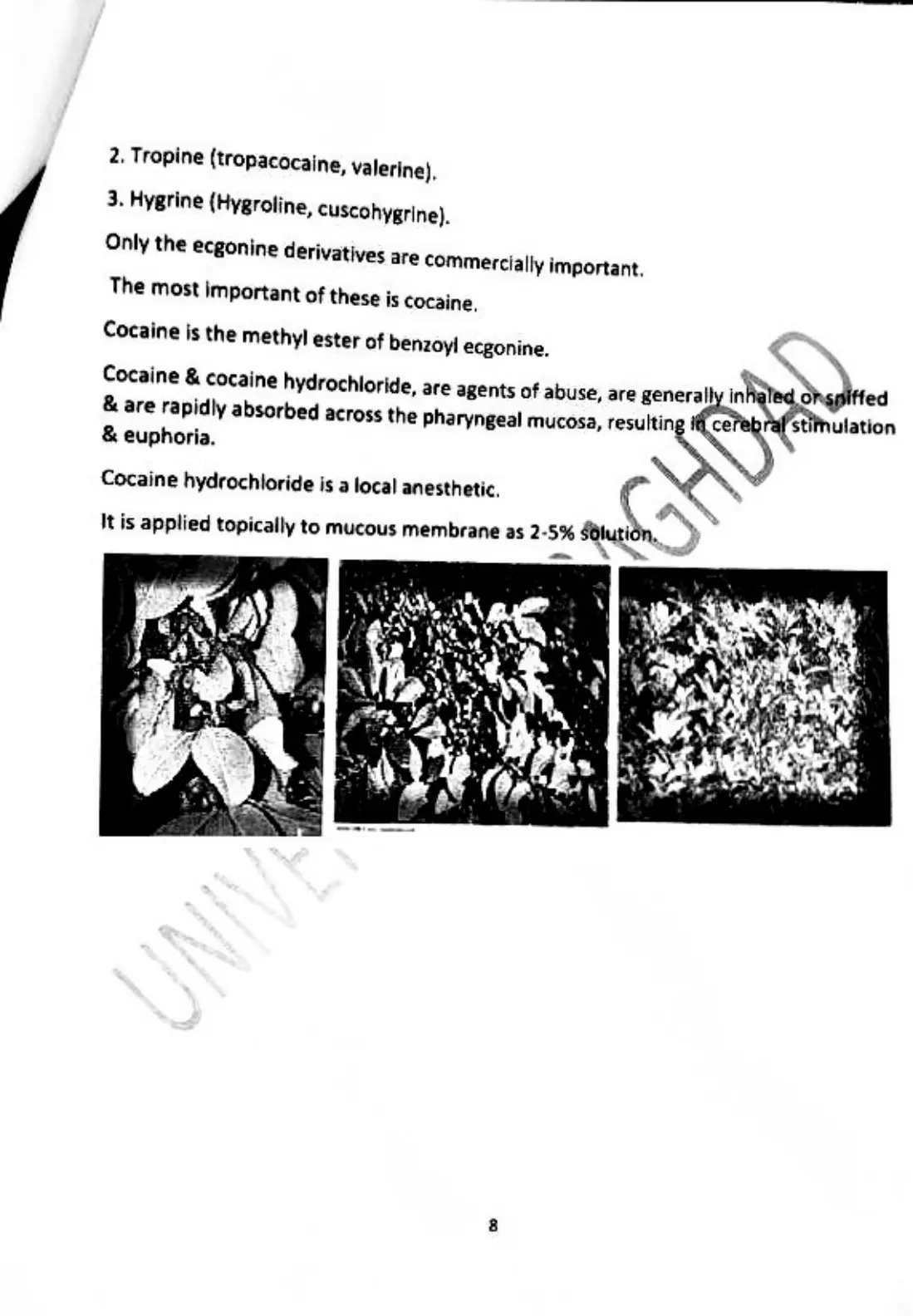 غلاف تقرير Cocaine and Ecgonine Derivatives