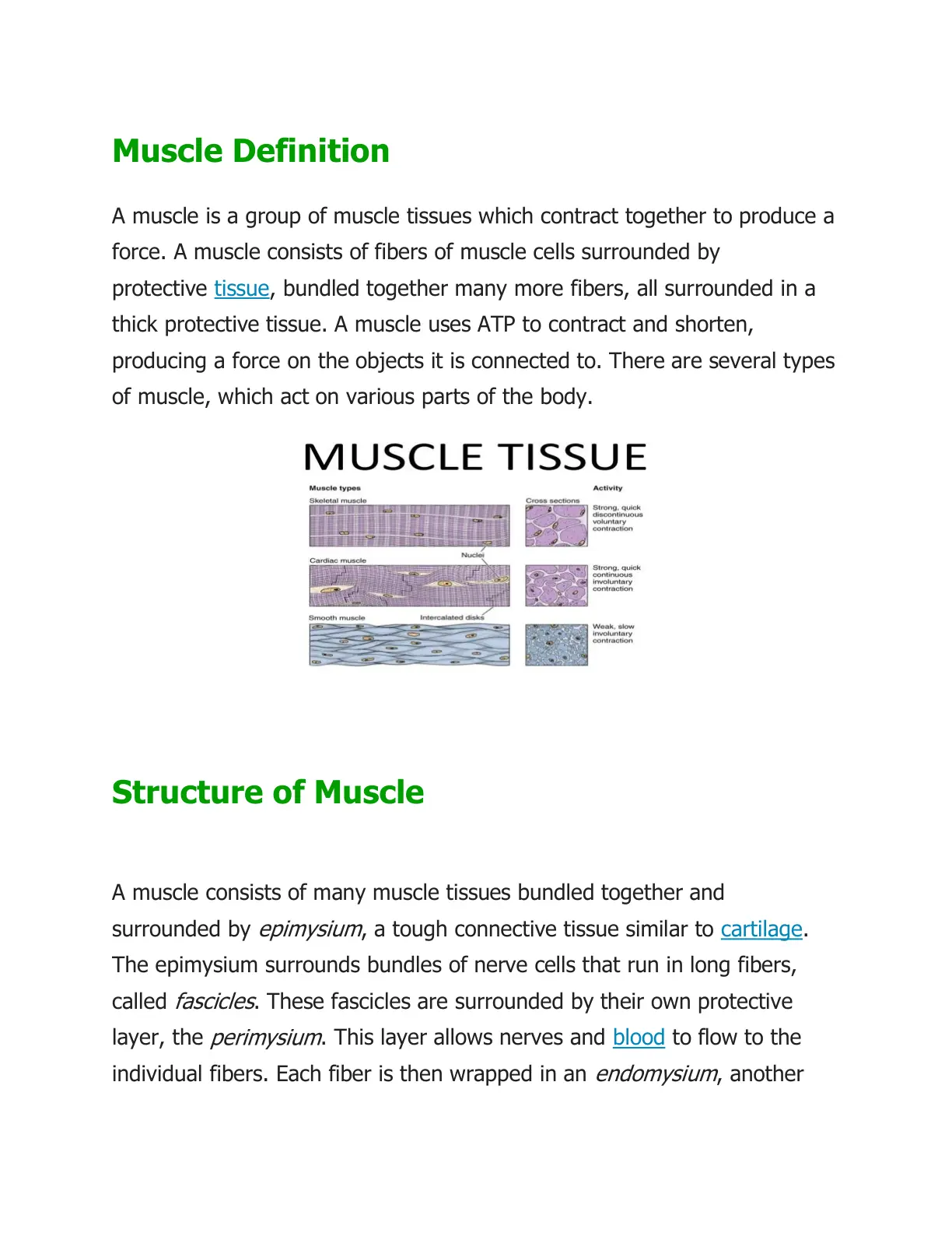 غلاف تقرير Muscle Definition