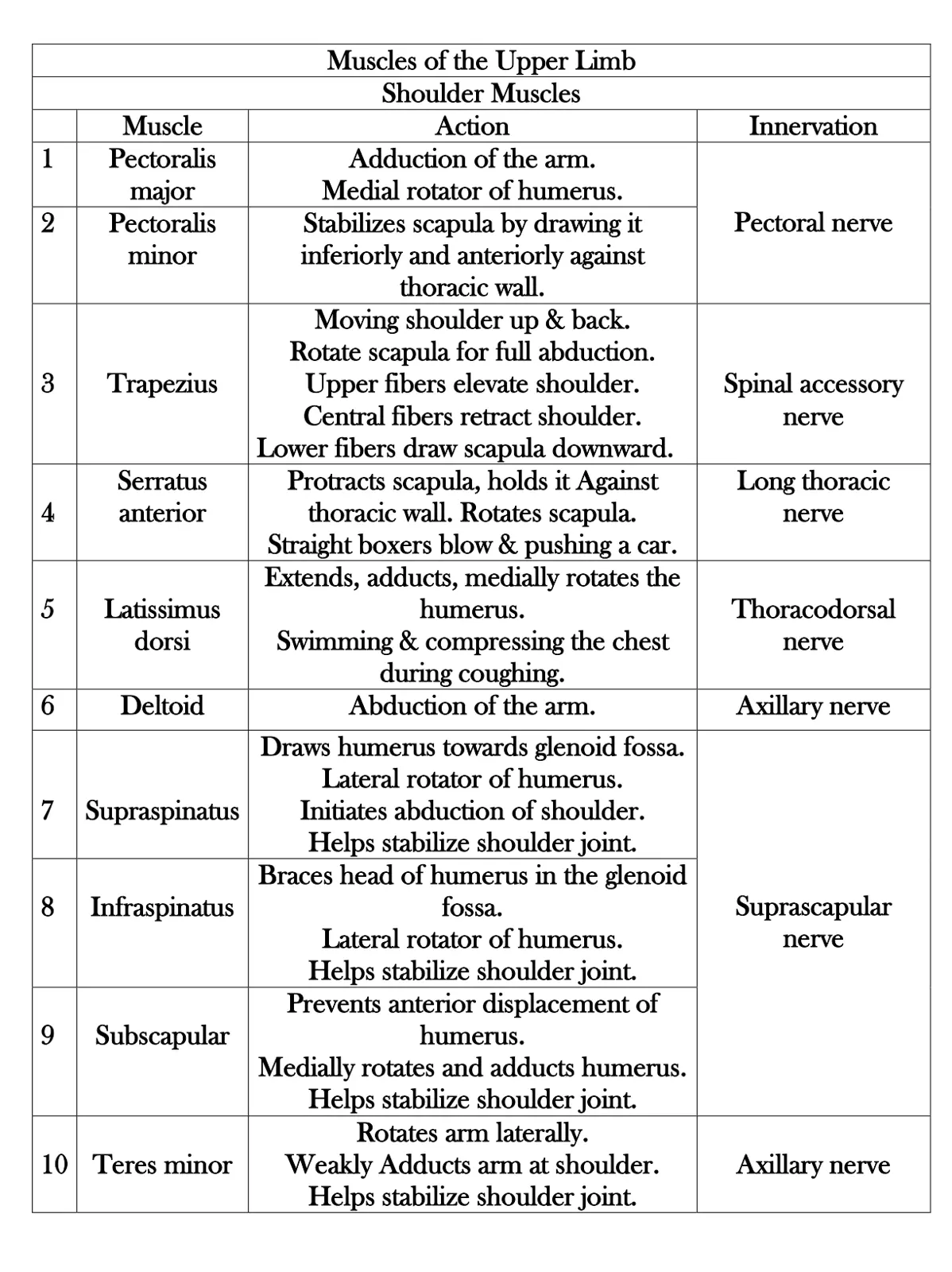 غلاف تقرير Muscles of the Upper Limb Shoulder Muscles