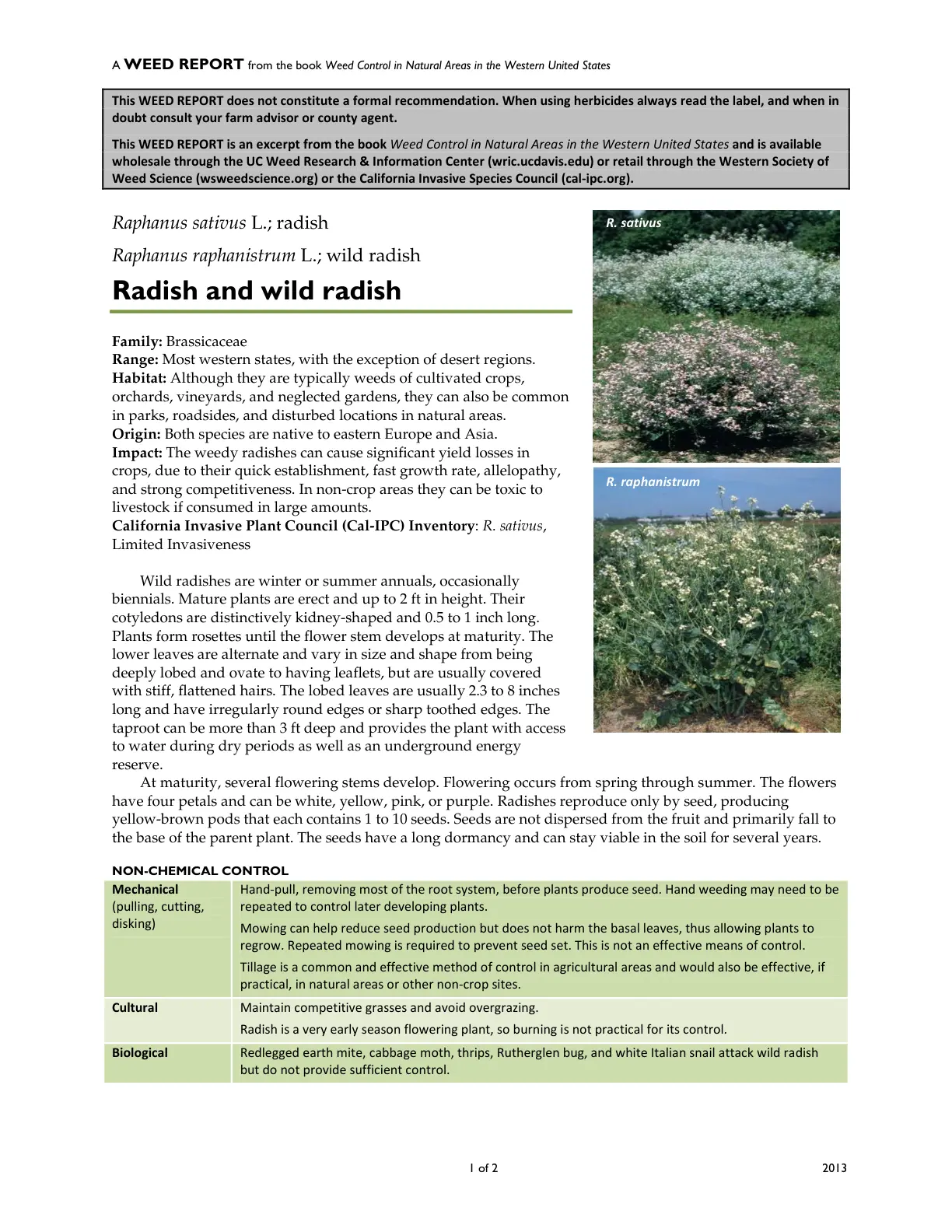 غلاف تقرير A WEED REPORT from the book Weed Control in Natural Areas in the Western United States