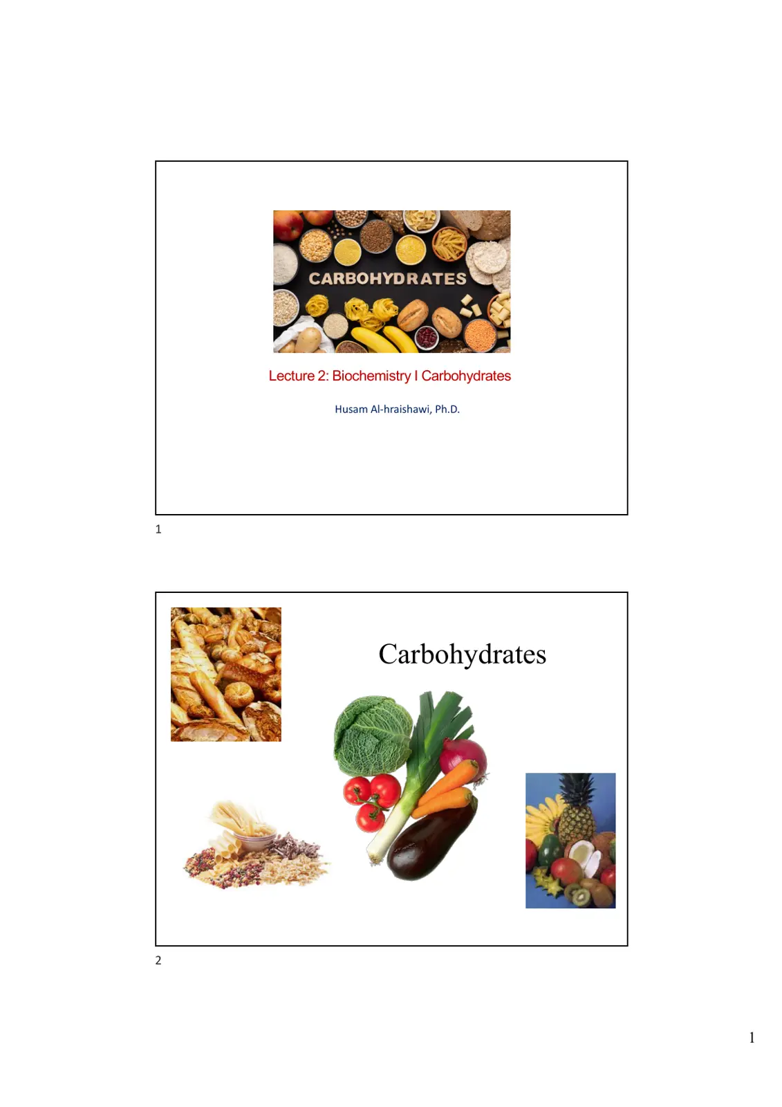 غلاف تقرير Biochemistry I Carbohydrates