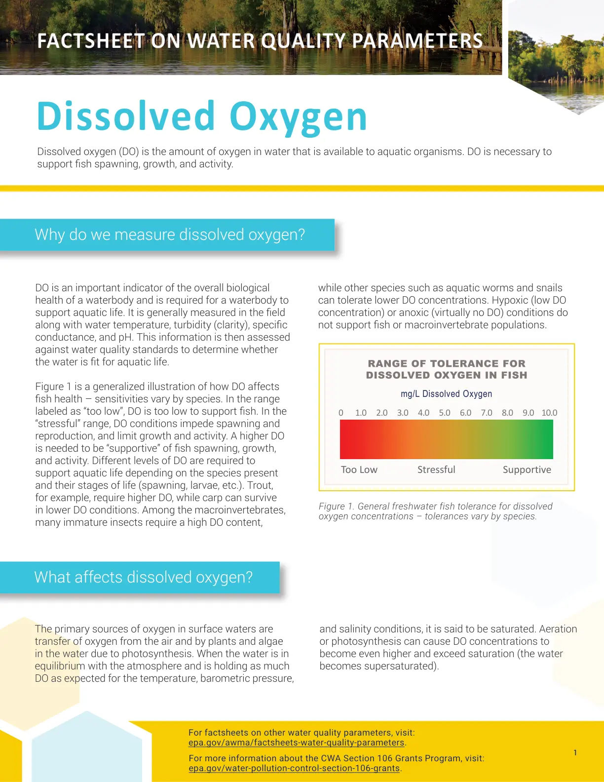 غلاف تقرير Dissolved Oxygen