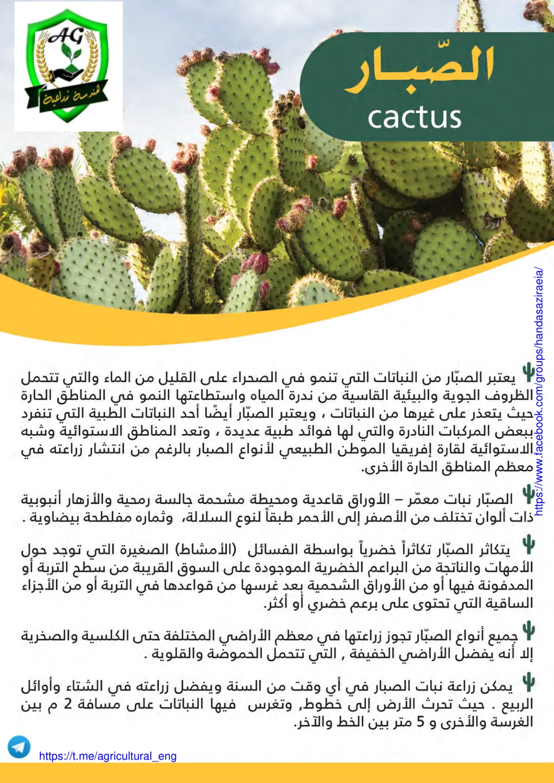 غلاف تقرير الصبار المقدسة الزراعية - cactus