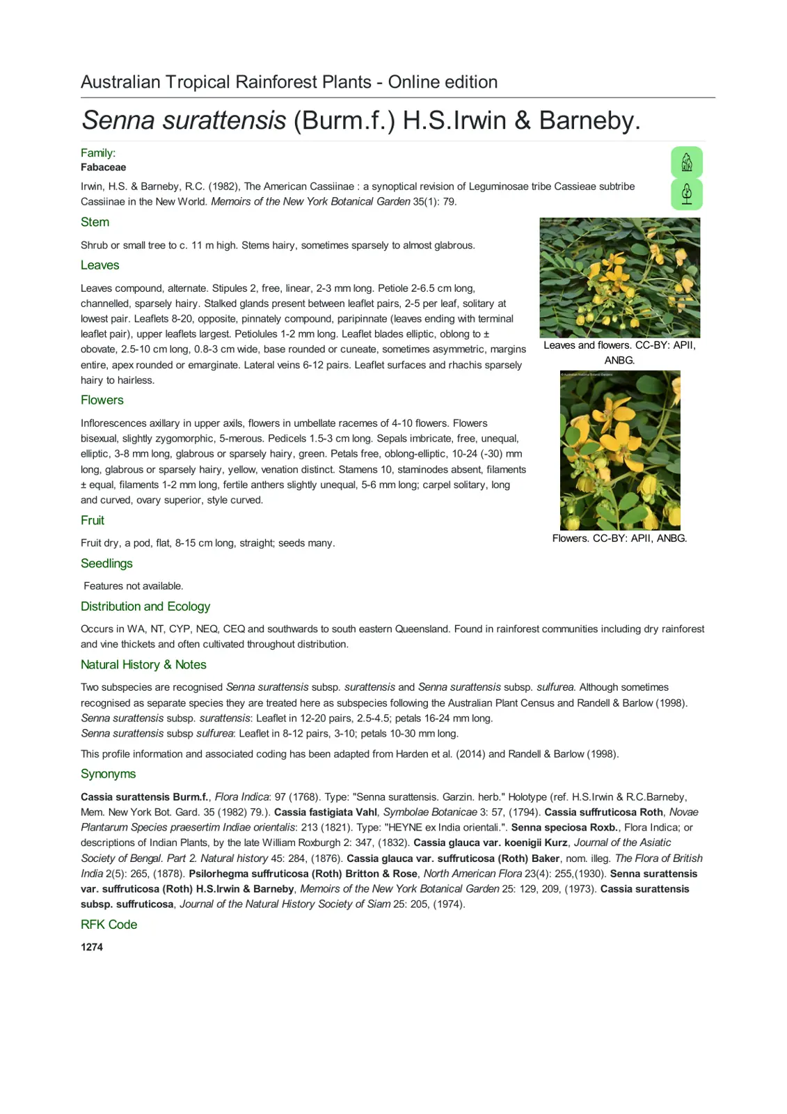 غلاف تقرير Australian Tropical Rainforest Plants - Online edition