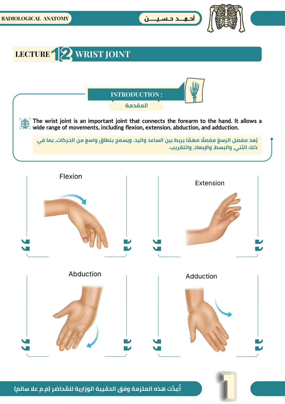 غلاف تقرير Radiological Anatomy - Wrist Joint