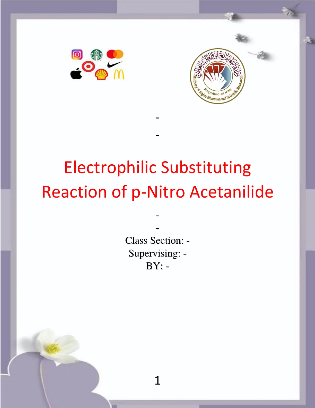 غلاف تقرير Electrophilic Substituting Reaction of p-Nitro Acetanilide