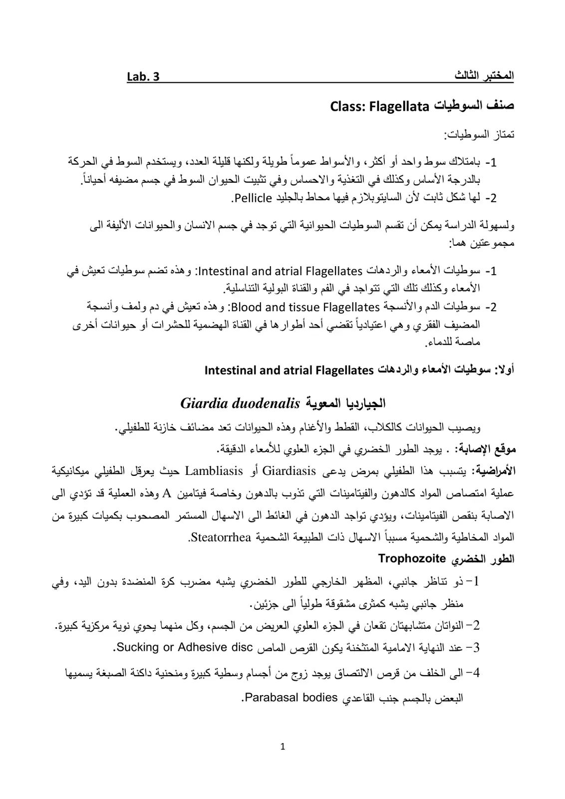 غلاف تقرير المختبر الثالث: صنف السوطيات