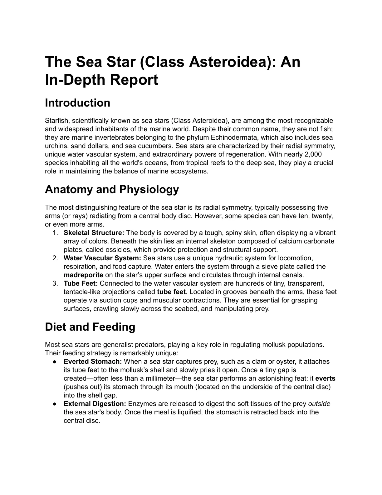 غلاف تقرير The Sea Star (Class Asteroidea): An In-Depth Report