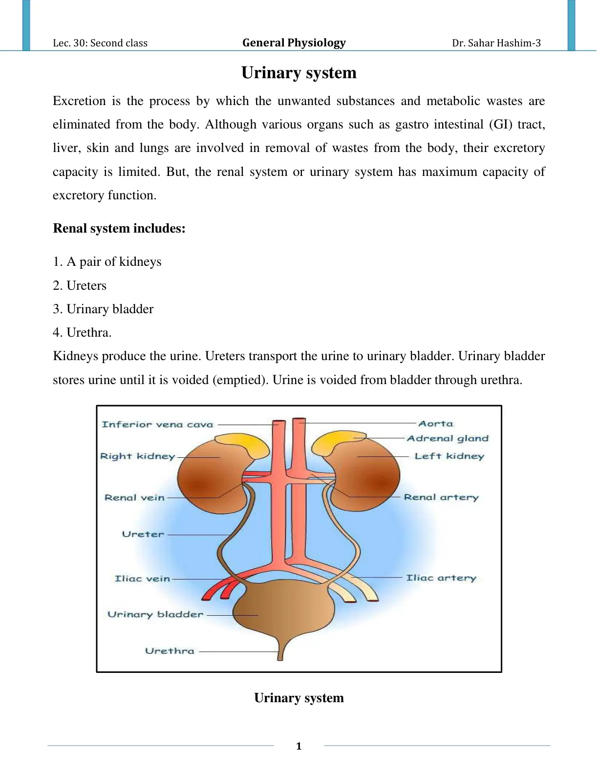 غلاف تقرير General Physiology Urinary system