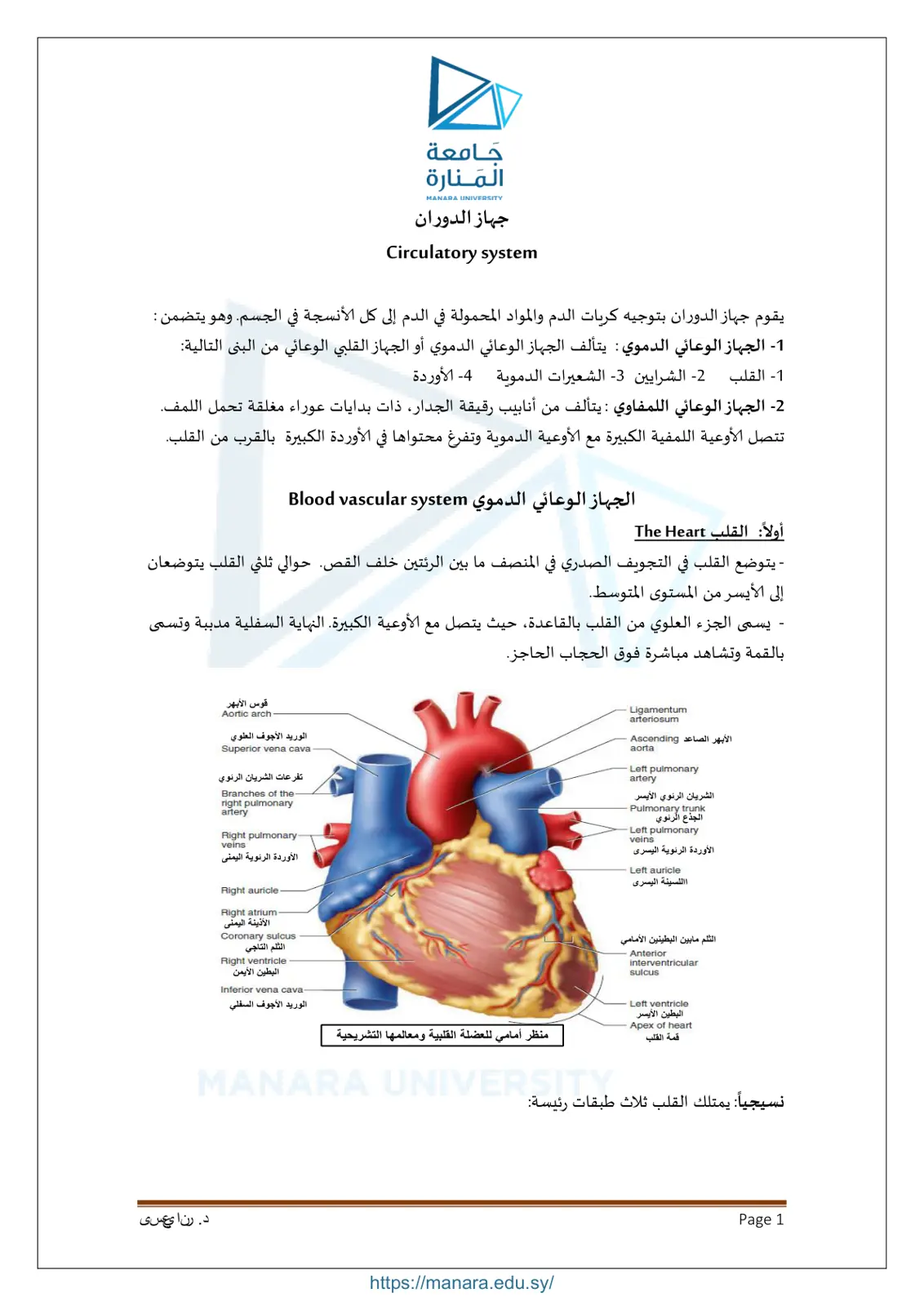 غلاف تقرير جهاز الدوران - Circulatory System