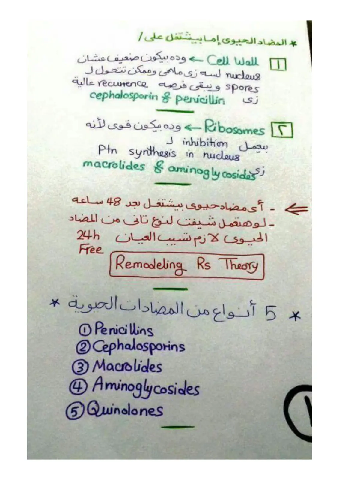 غلاف تقرير المضاد الحيوي وآلية عمله