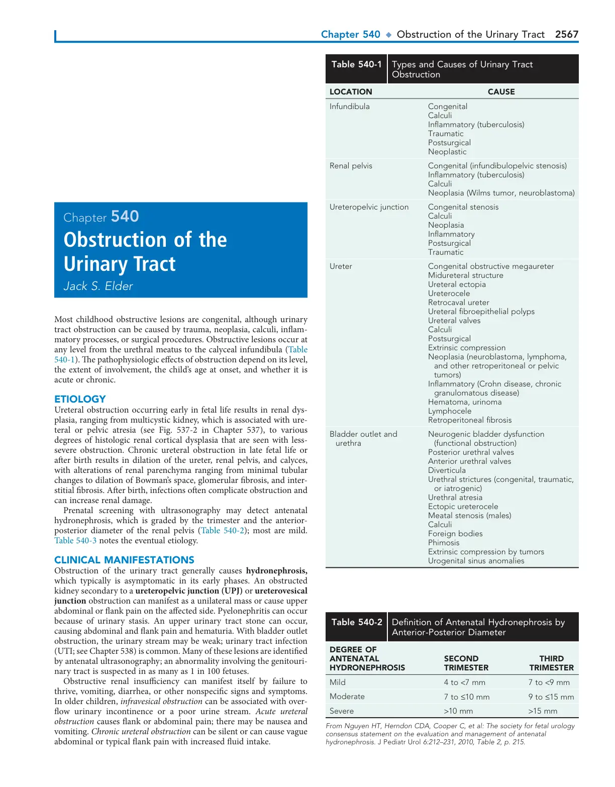 غلاف تقرير Obstruction of the Urinary Tract
