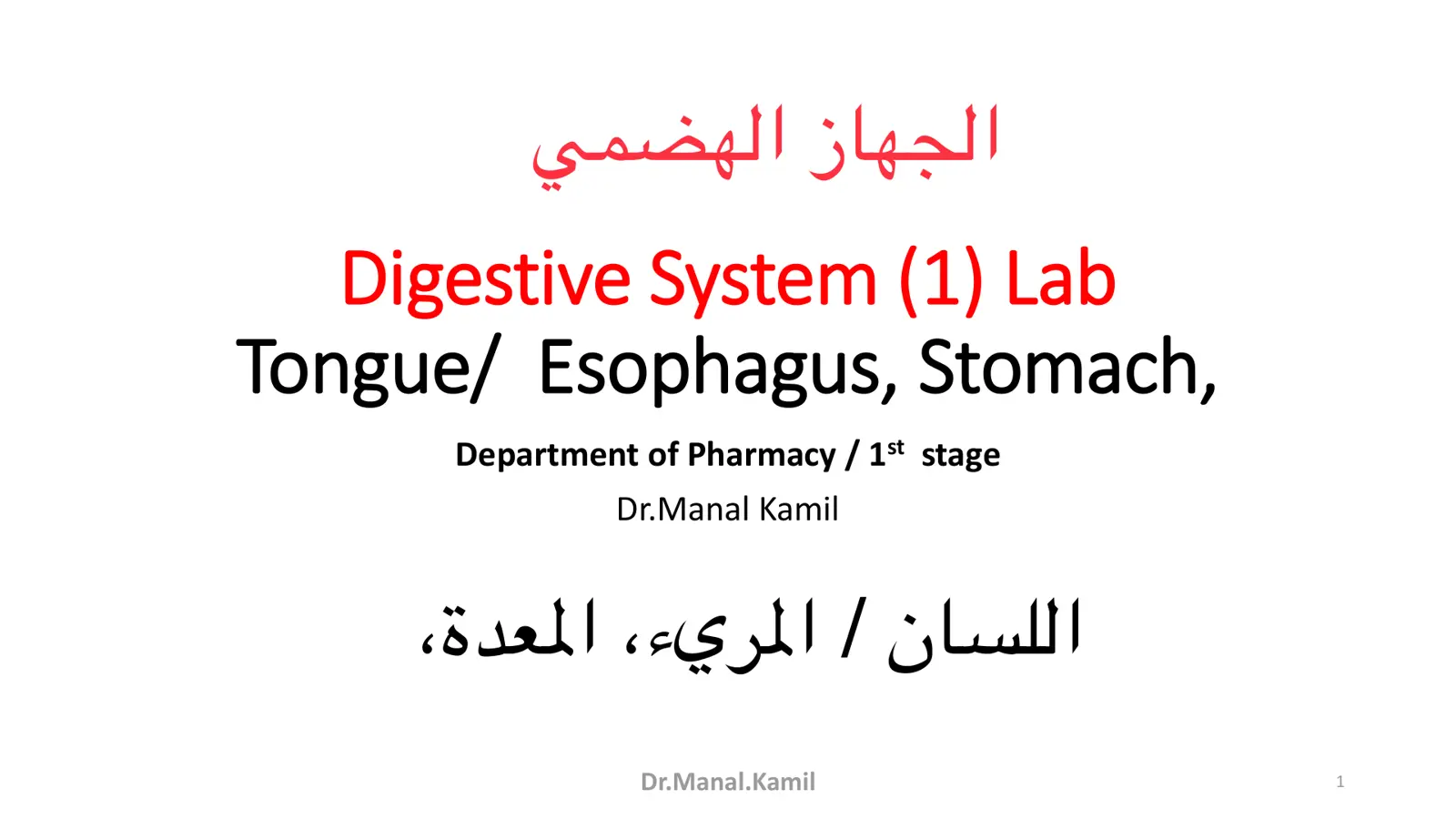 غلاف تقرير الجهاز الهضمي Digestive System (1) Lab