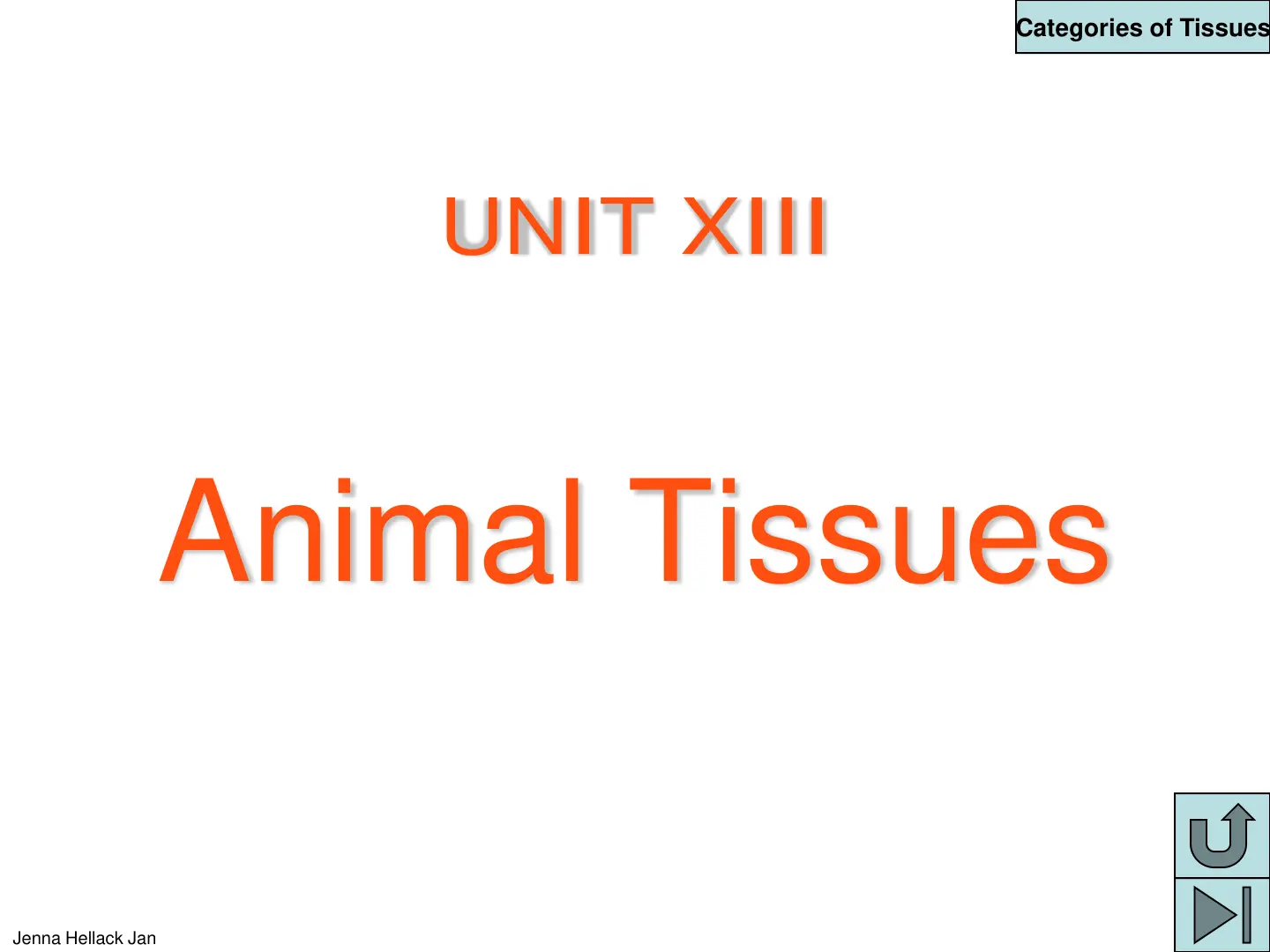 غلاف تقرير Categories of Tissues Animal Tissues