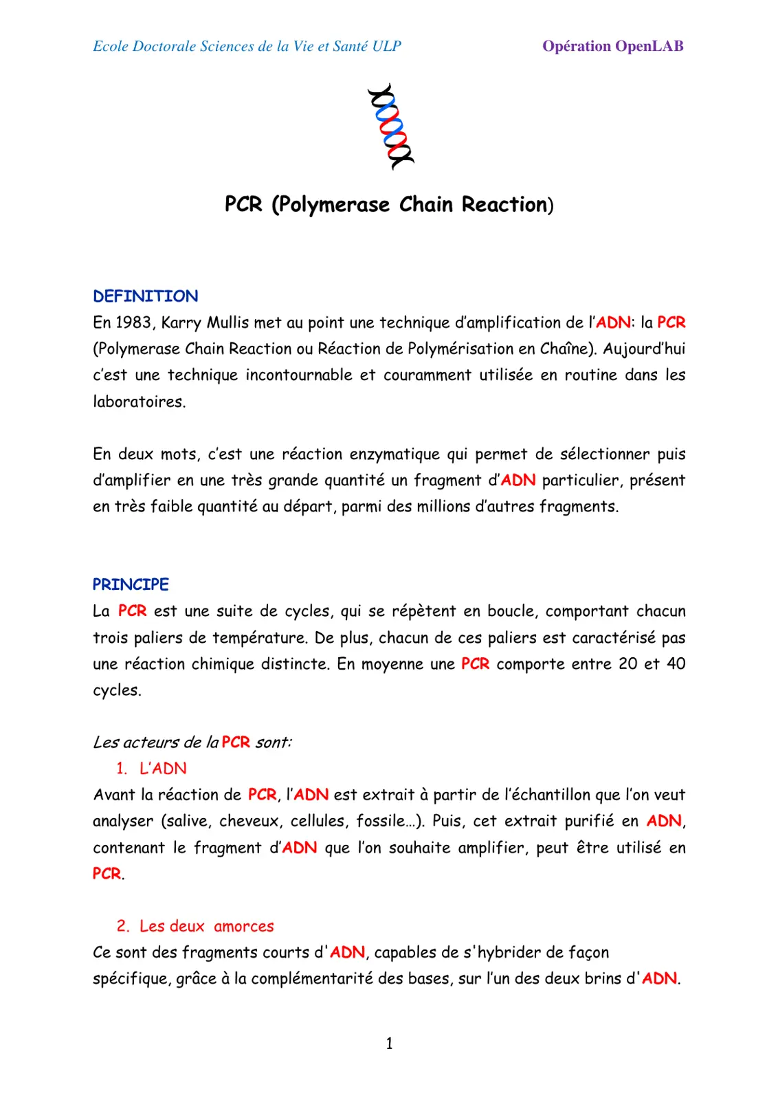 غلاف تقرير PCR (Polymerase Chain Reaction)
