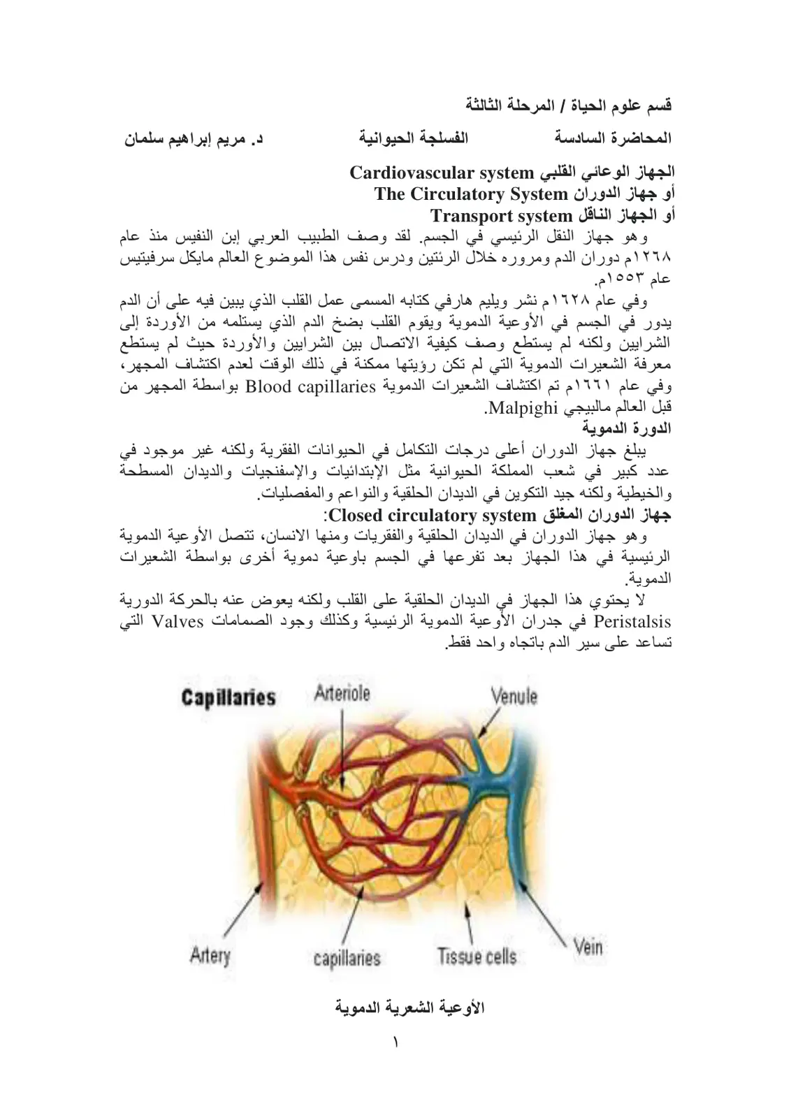 غلاف تقرير الفسلجة الحيوانية – الجهاز الوعائي القلبي (نظام الدوران)