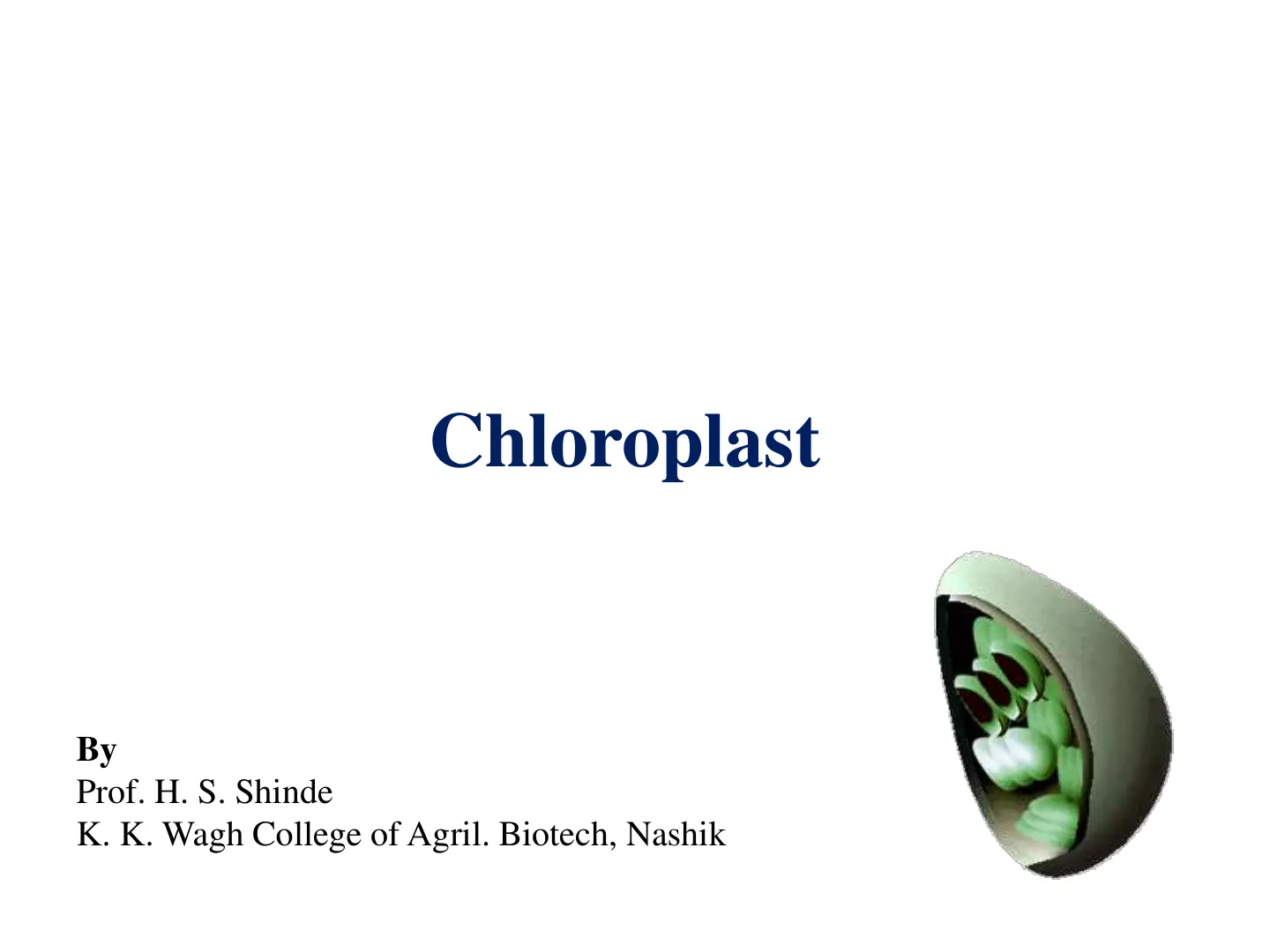 غلاف تقرير Chloroplast