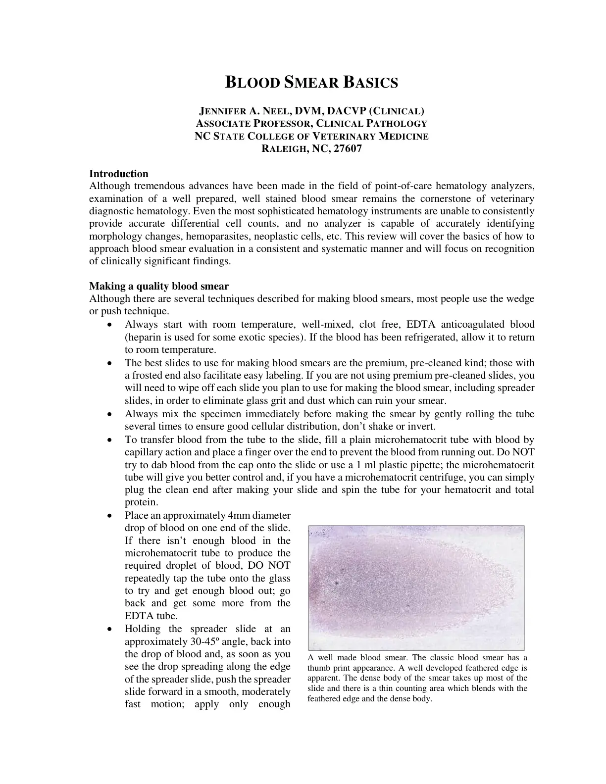 غلاف تقرير BLOOD SMEAR BASICS