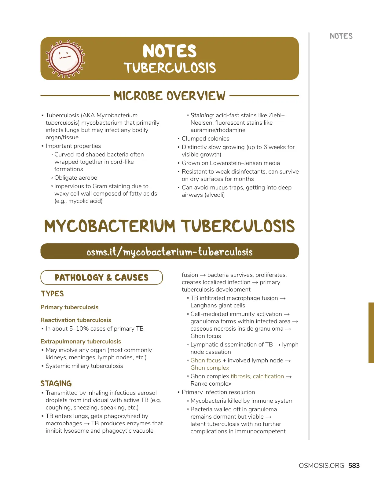 غلاف تقرير Tuberculosis - Microbe Overview